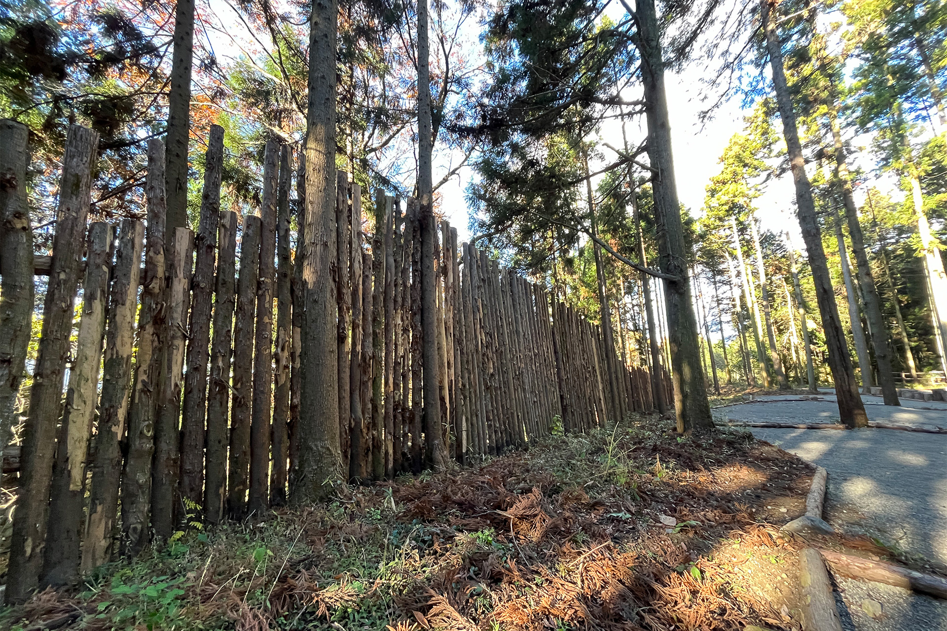 道路沿いの塀も伐採した杉の木で作っている。キャンプ場の雰囲気にあっている