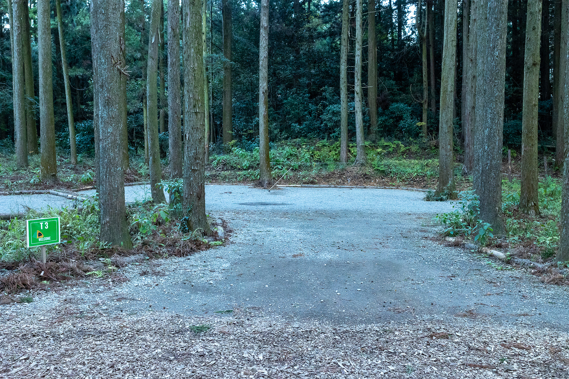 すべてのサイトはクルマが乗り入れできてなおかつ大型のテントも張れるスペースがある。この写真では手前の地面の色が違うところからがサイト。広いのが分かるだろうか