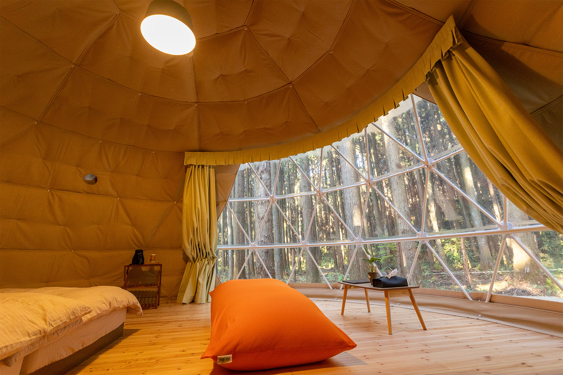 ドーム内部。大きな窓があってカーテンを開けると杉林がみえる