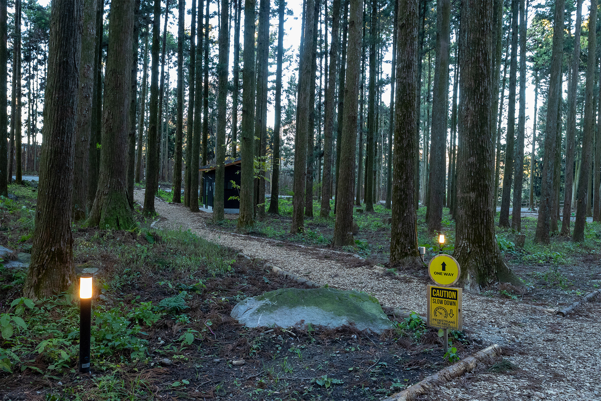 通路の途中には夜間になると点灯する照明があるので、夜にトイレに行くときにライトを持っていかなくても大丈夫