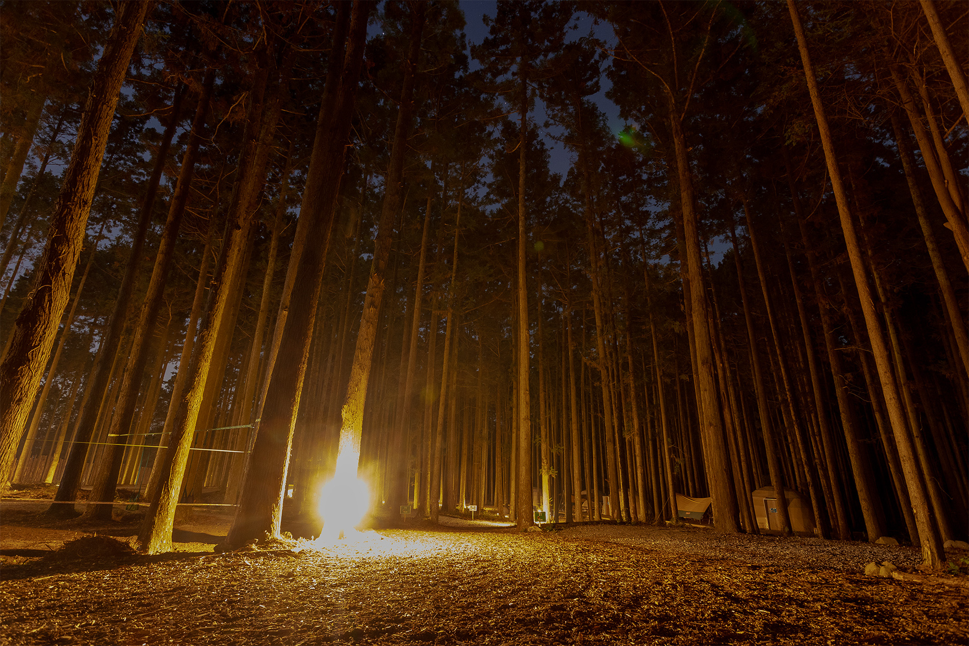 夜間の様子。カメラなので明るく写っているが夜はしっかり暗く、通路の照明がほんのりと明るい感じ