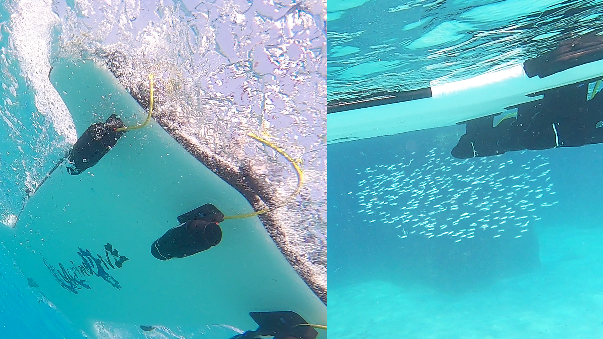 ガソリン船外機のようなCO2排出もなく、オイル漏れの心配もない