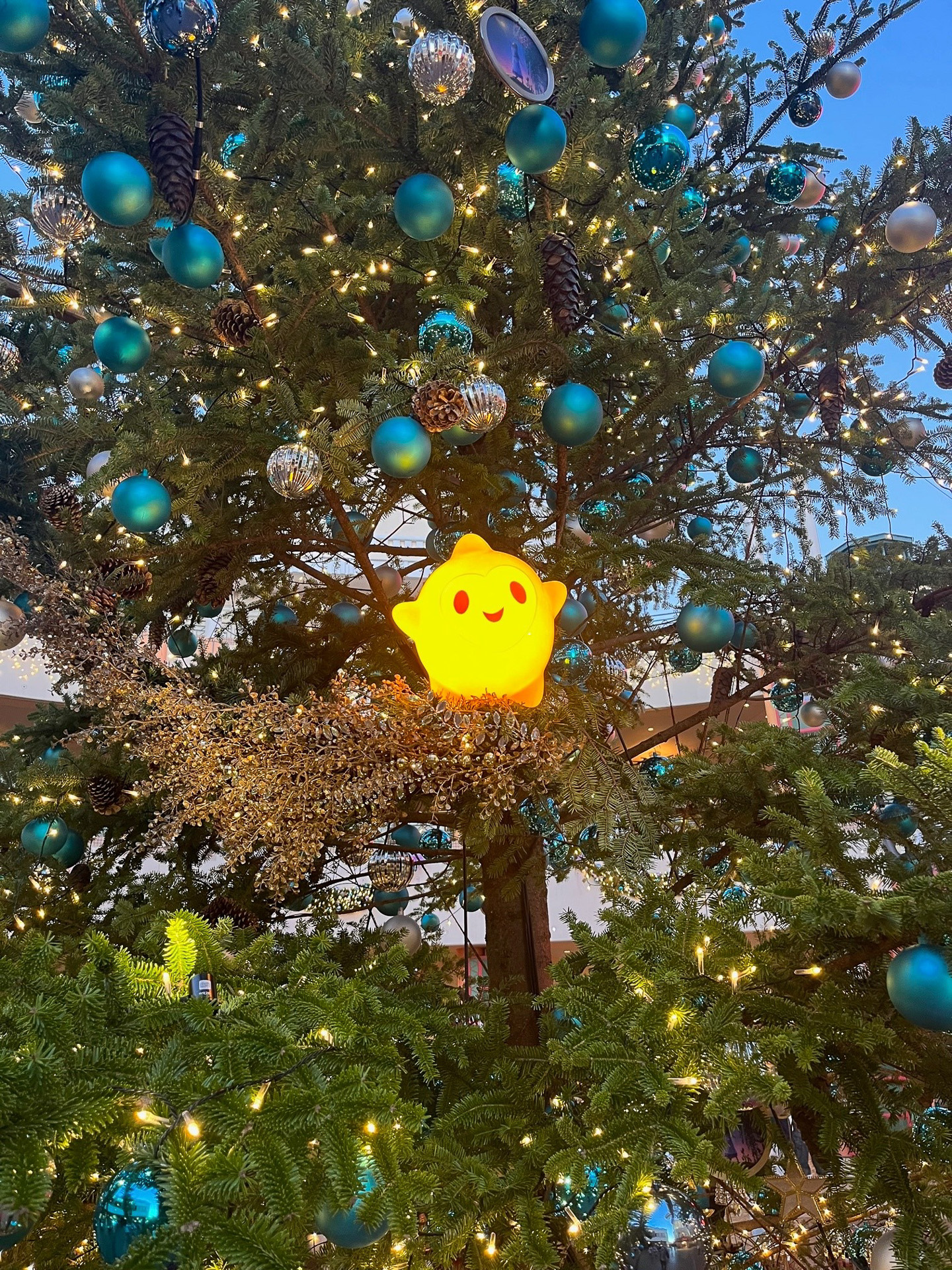 ぷっくり愛らしい願い星・スター