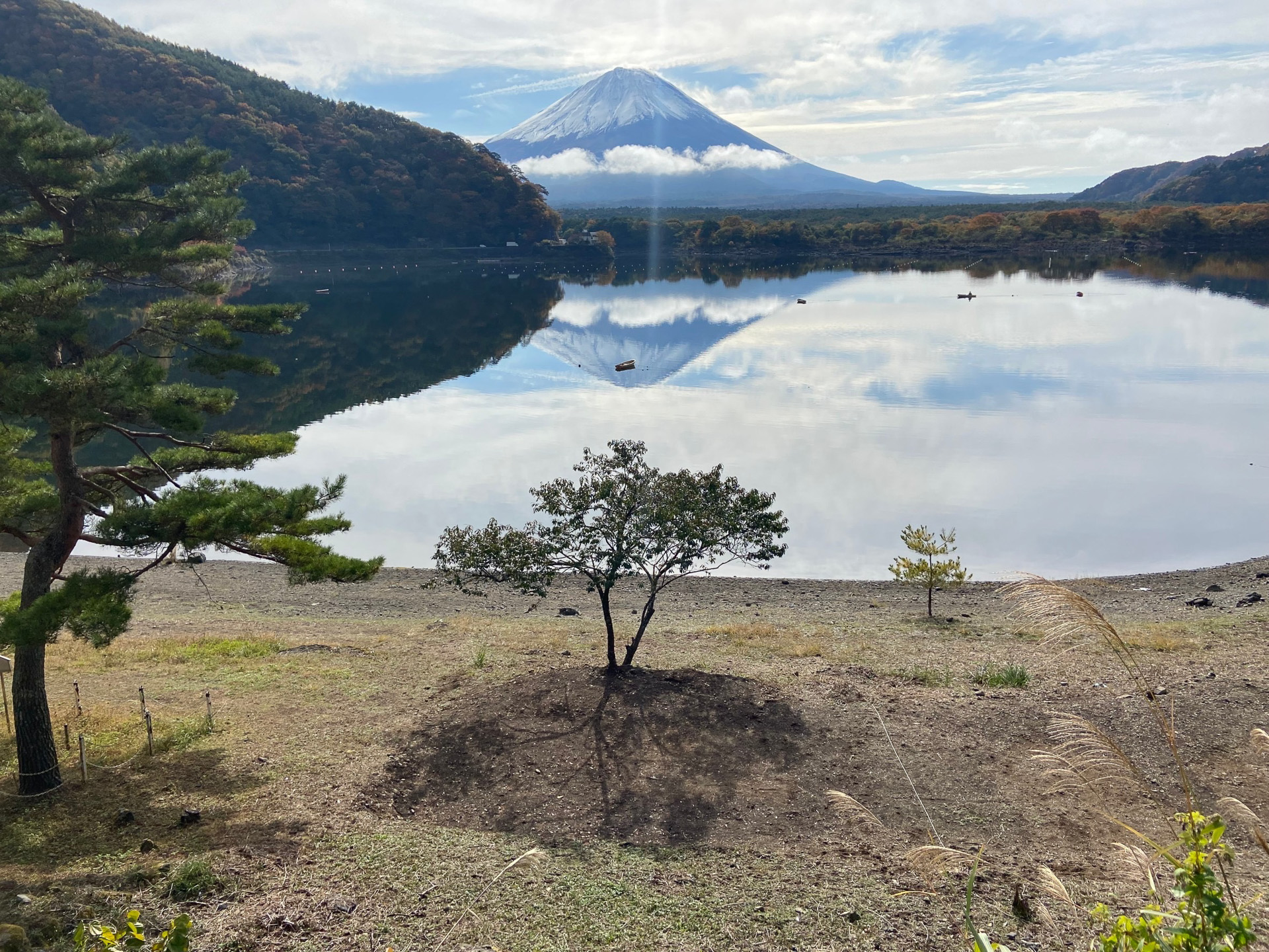 逆さ富士を望む