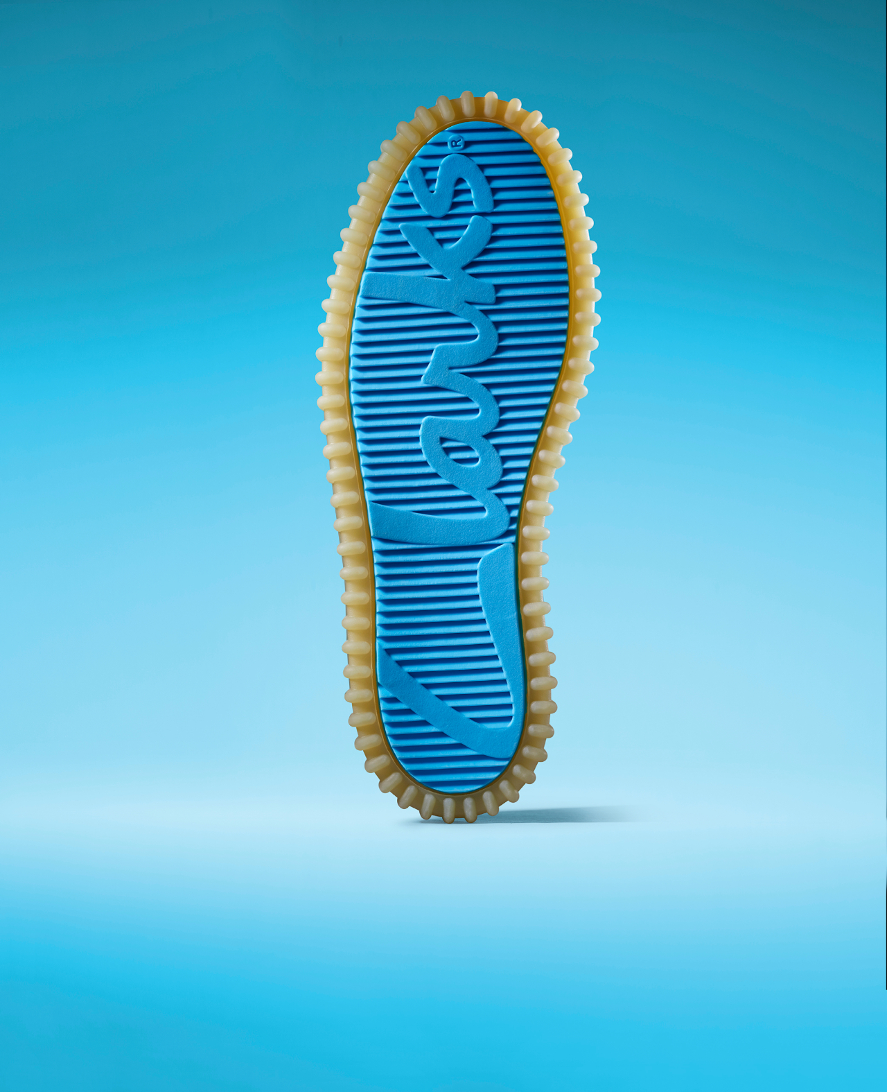 「トーヒル エクスプローラ― ブルー」（ゼニガメ）