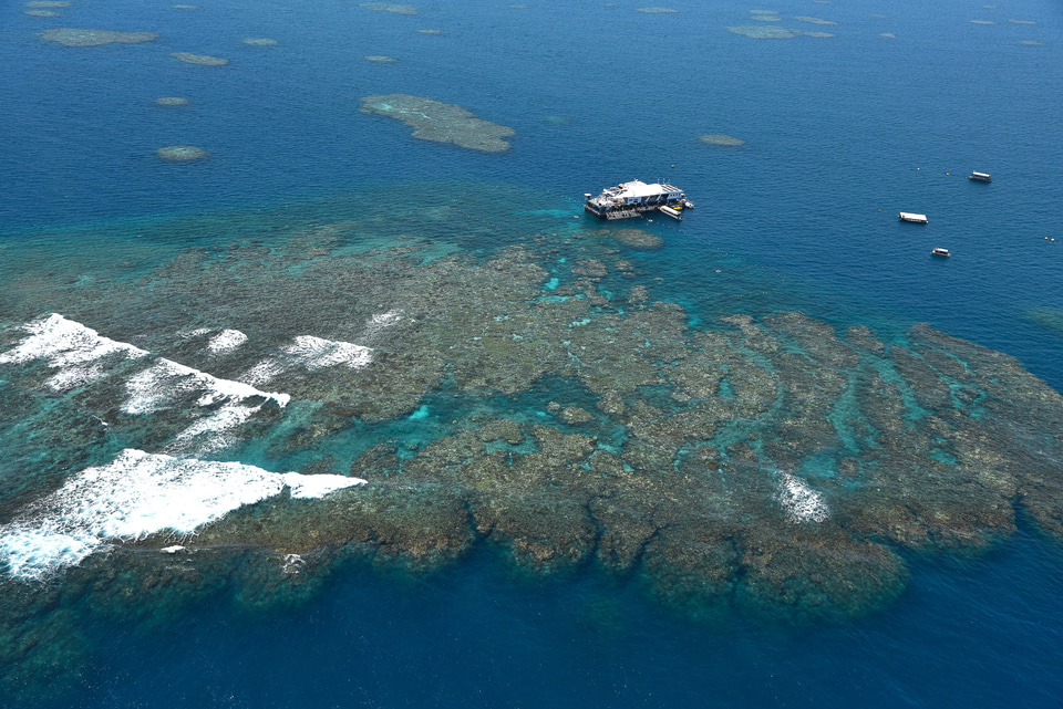 コーラルリーフ　珊瑚礁　生物　洋書　専門書　貝　魚　サンゴ　グレートバリアリーフ カラフルな珊瑚礁に多くの魚 - グレートバリアリーフのストック