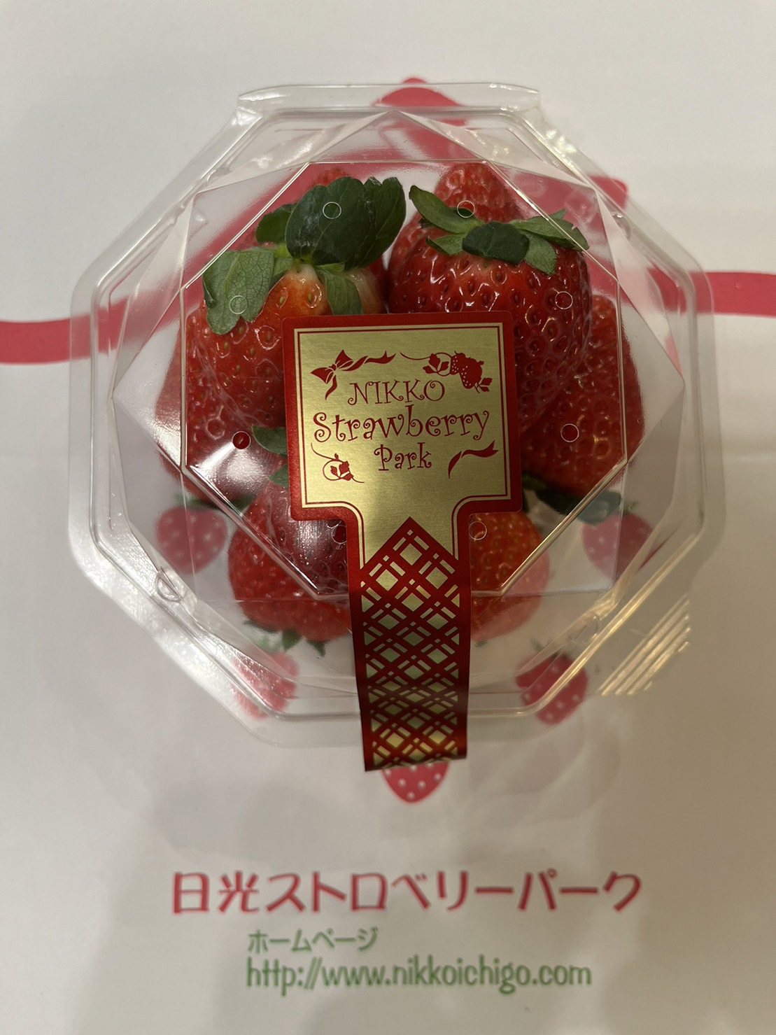 日光ストロベリーパーク「いちご」