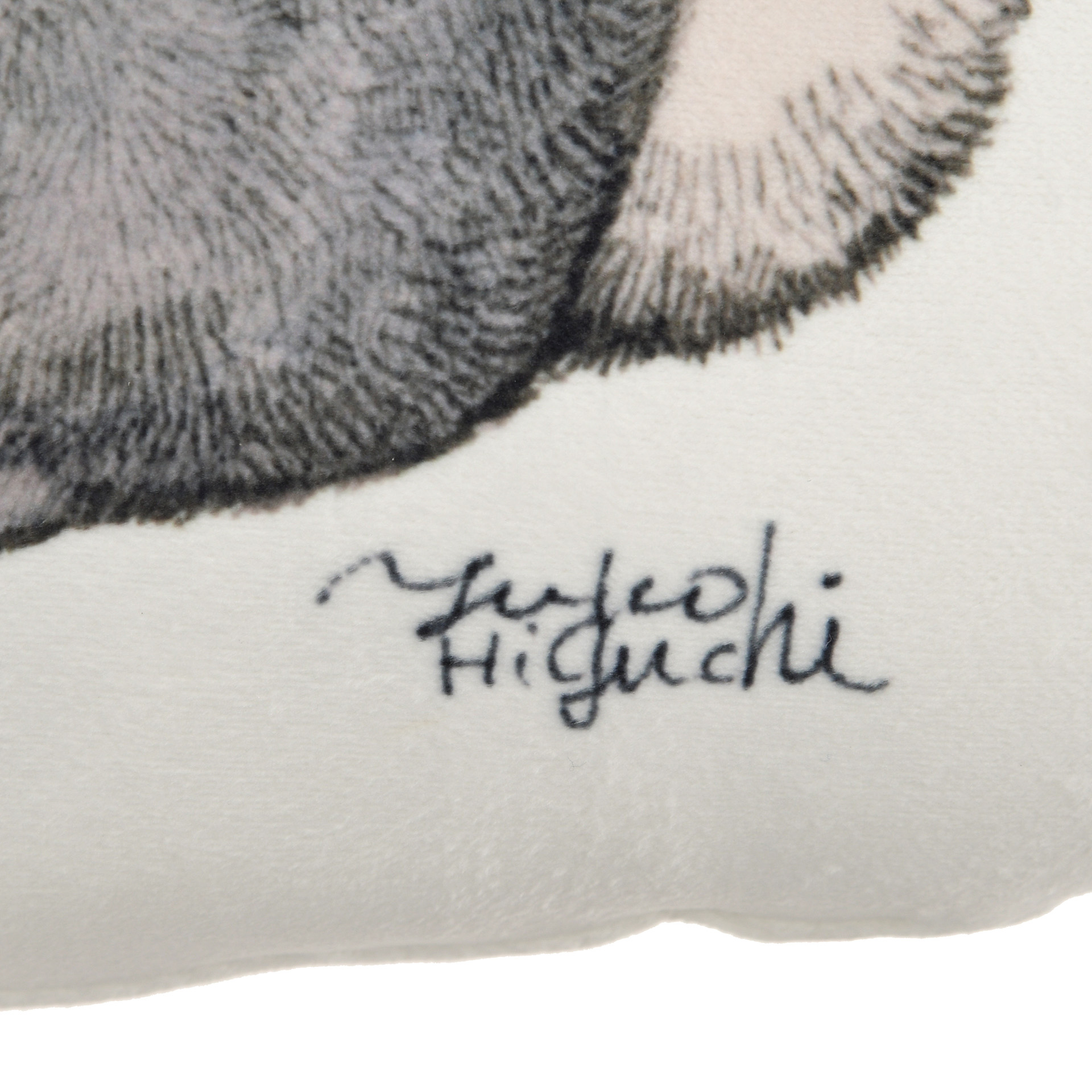 フロント・バックともに振り向きとんすけがキュート