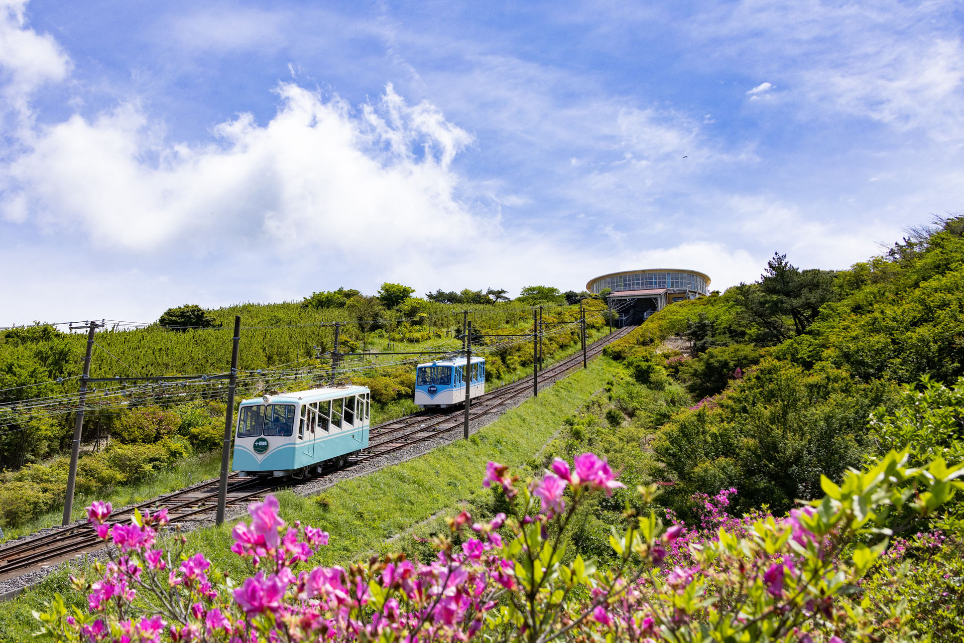 木々や草花などの自然のなかを登る「パノラマケーブルカー」