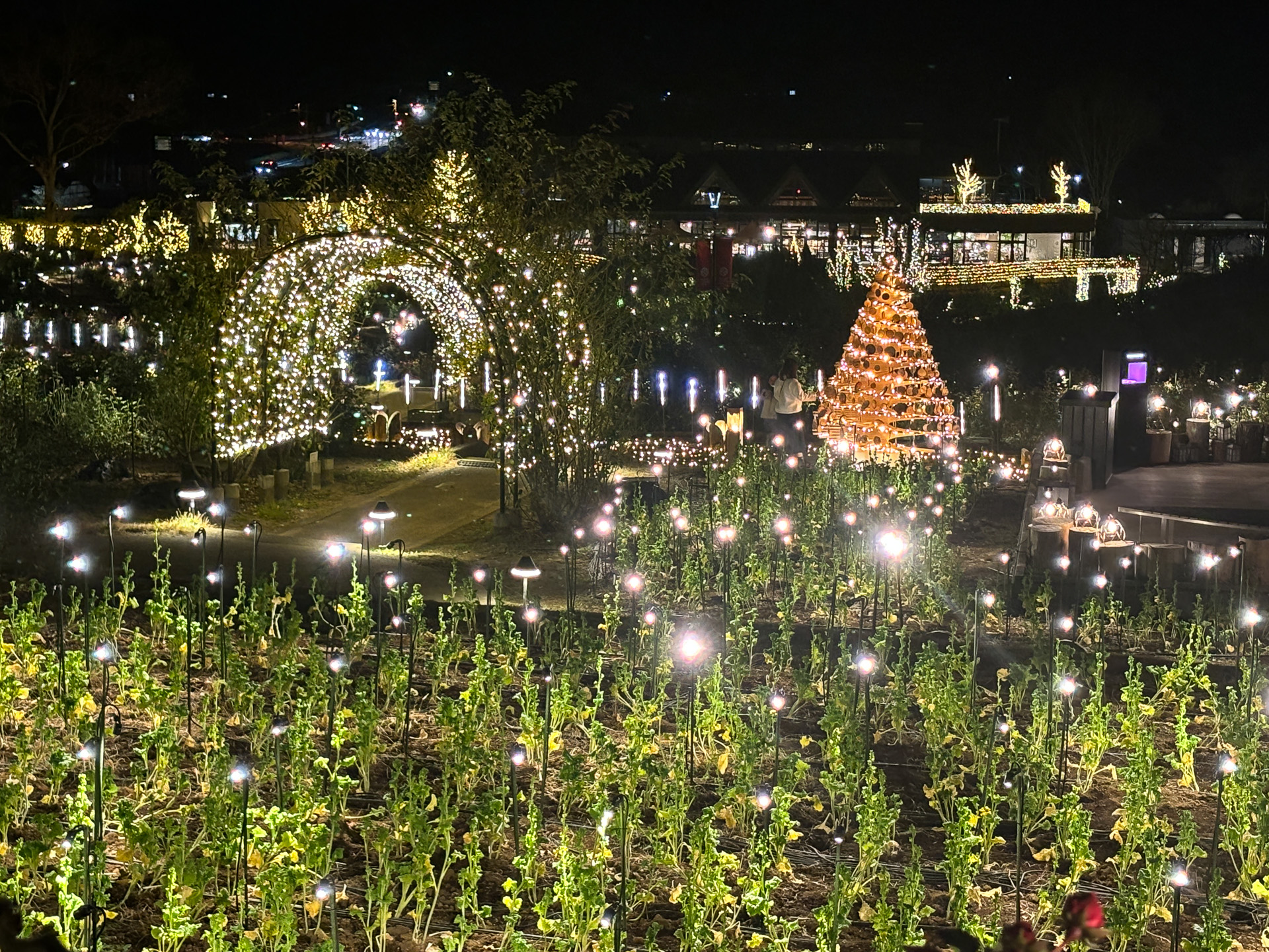 広大な敷地で見るイルミネーションは圧巻