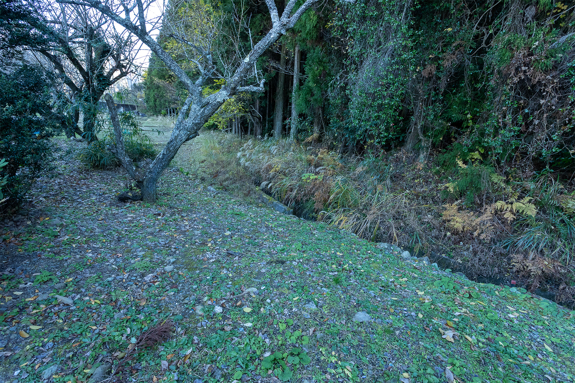 最近は野生動物との遭遇がニュースになっている。施設のまわりは自然環境が豊富なので鹿など近くまで来ることはあるが、熊が出たことはないという。ただ、山には獣のほかにヘビやヤマビルもいるので暖かい季節は不用心に山へ入らないようにしたい