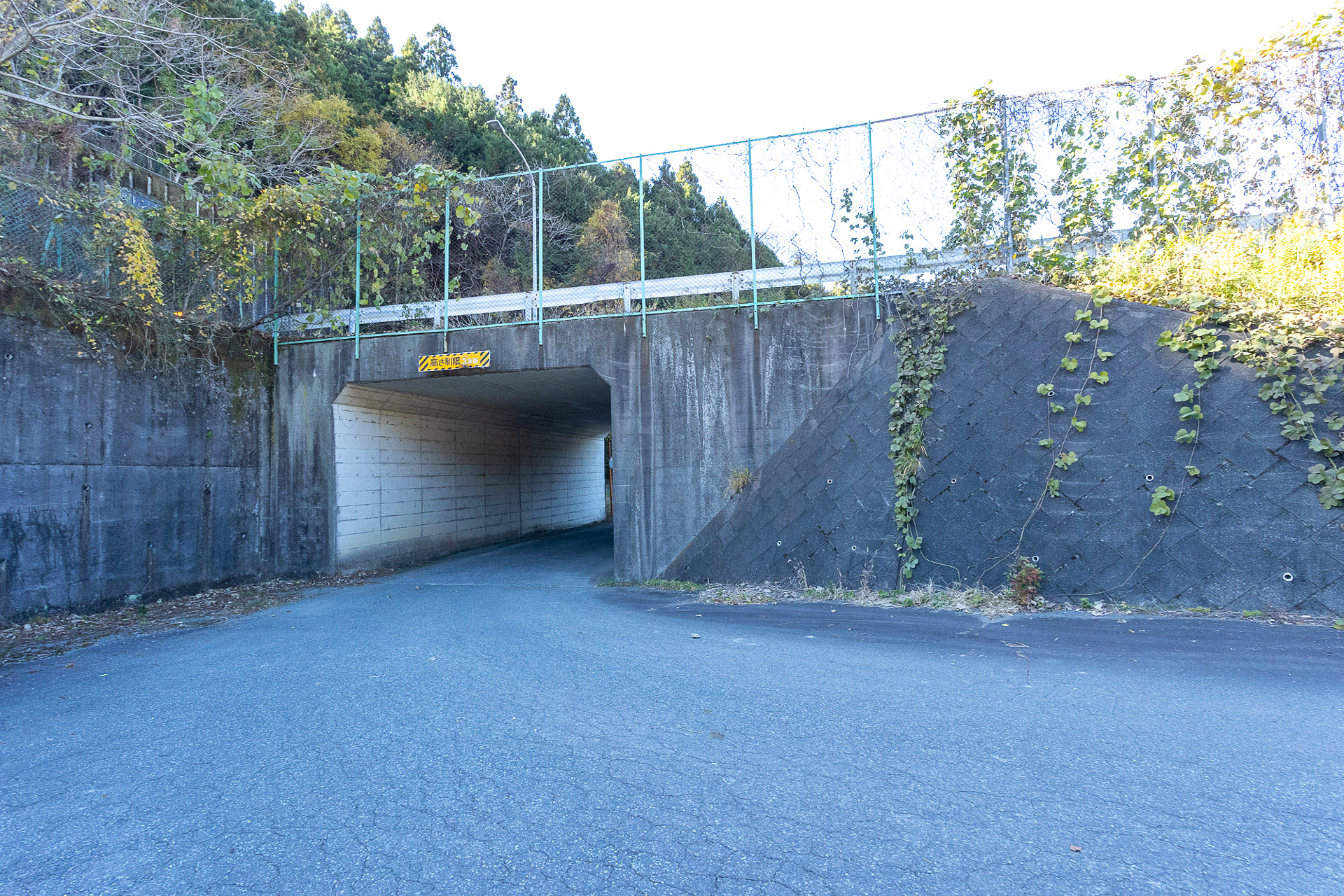 しかし、曲がってみると橋から見えないところに国道をくぐるトンネルがある。大抵のカーナビでは案内ができないが、Googleマップであればナビができる