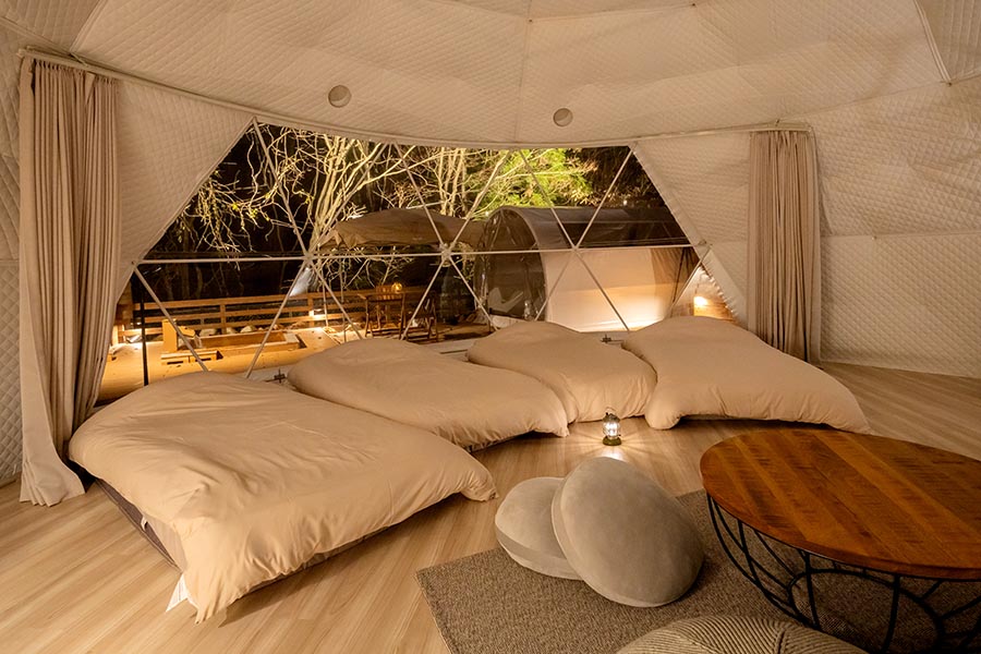 ナチュラルドーム