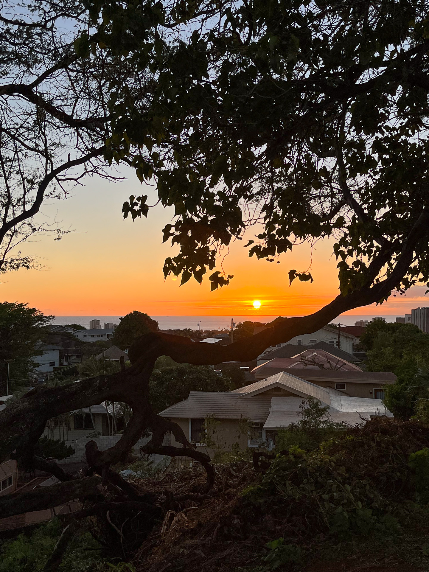 穴場の夕景スポット。地元の人の憩いの場から眺めるサンセット