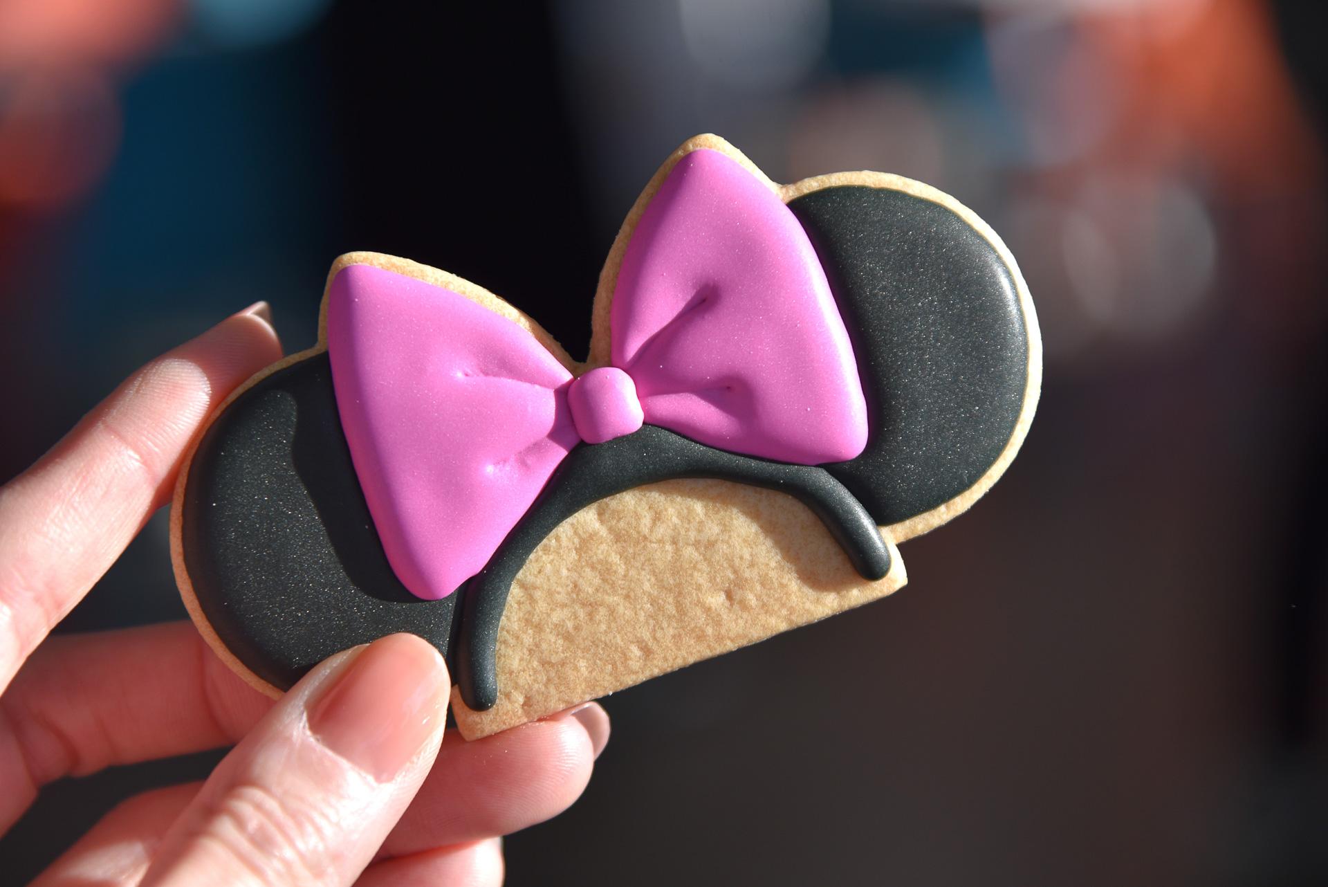 SNSへのアップ向けの撮影にももちろん使えます