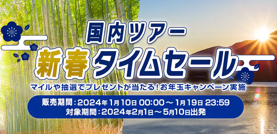 ANAの国内外向け商品でタイムセール