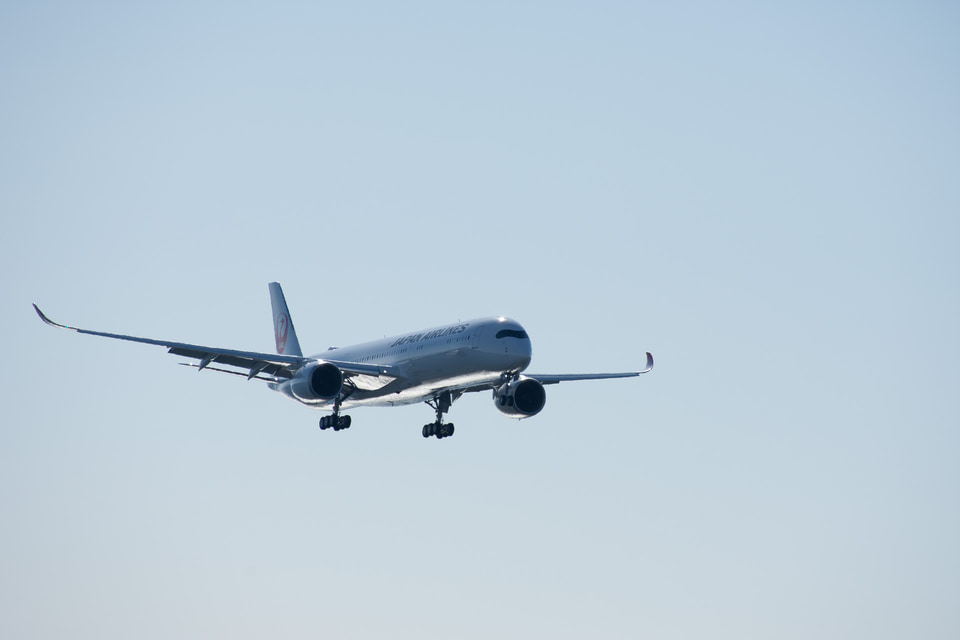 JAL 新品未使用350-900 2＆3号機　2機セット　限定品 2025年最新】Yahoo!オークション -#a350_900の中古品・新品・未