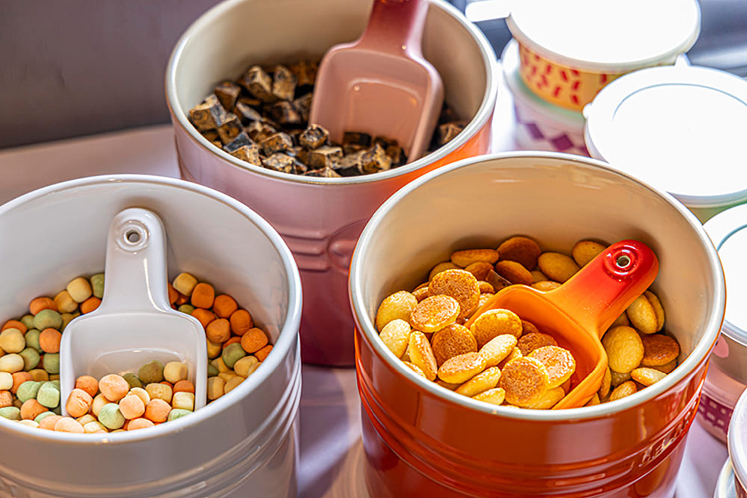 愛犬用ごはんやウェルカムトリートを用意