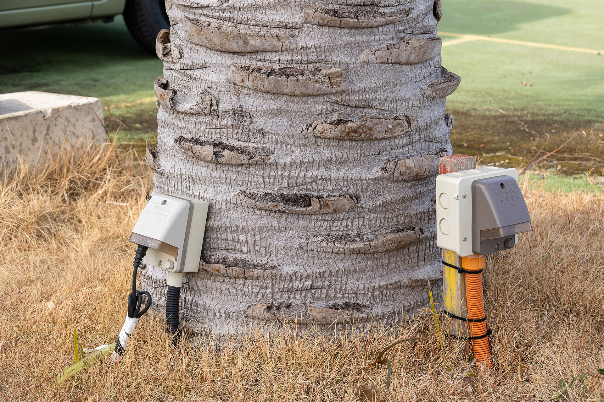 ヤシ科の植物の根本に電源がある。1つの系統にコンセントはふたつあった。ほか、ホテル側からコードリールで引いてくることも可能