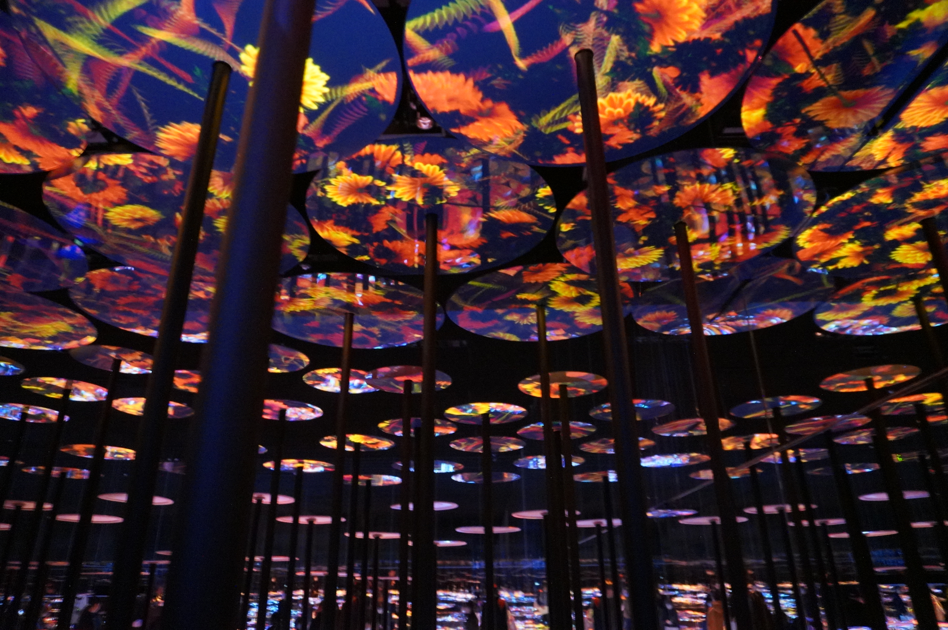 花や蝶々など、生誕と死滅を繰り返す生き物や自然をモチーフにした作品たち