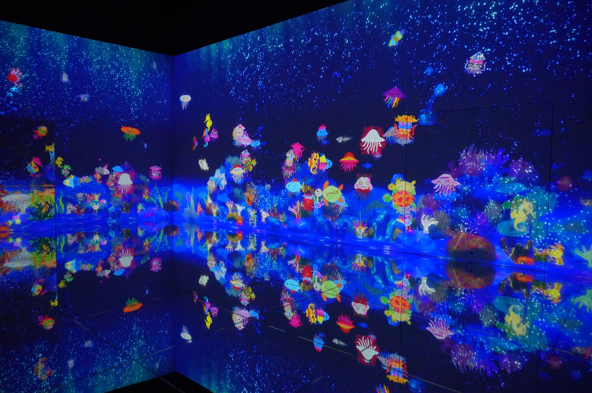 世界とつながったお絵描き水族館「スケッチオーシャン」