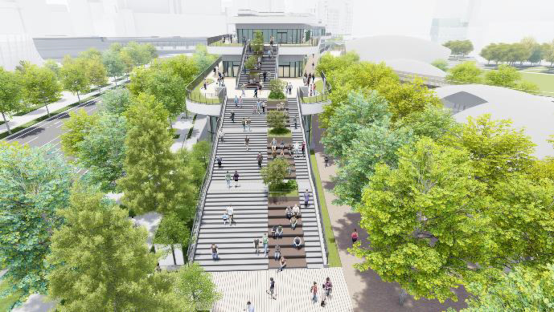 北側より（大階段）