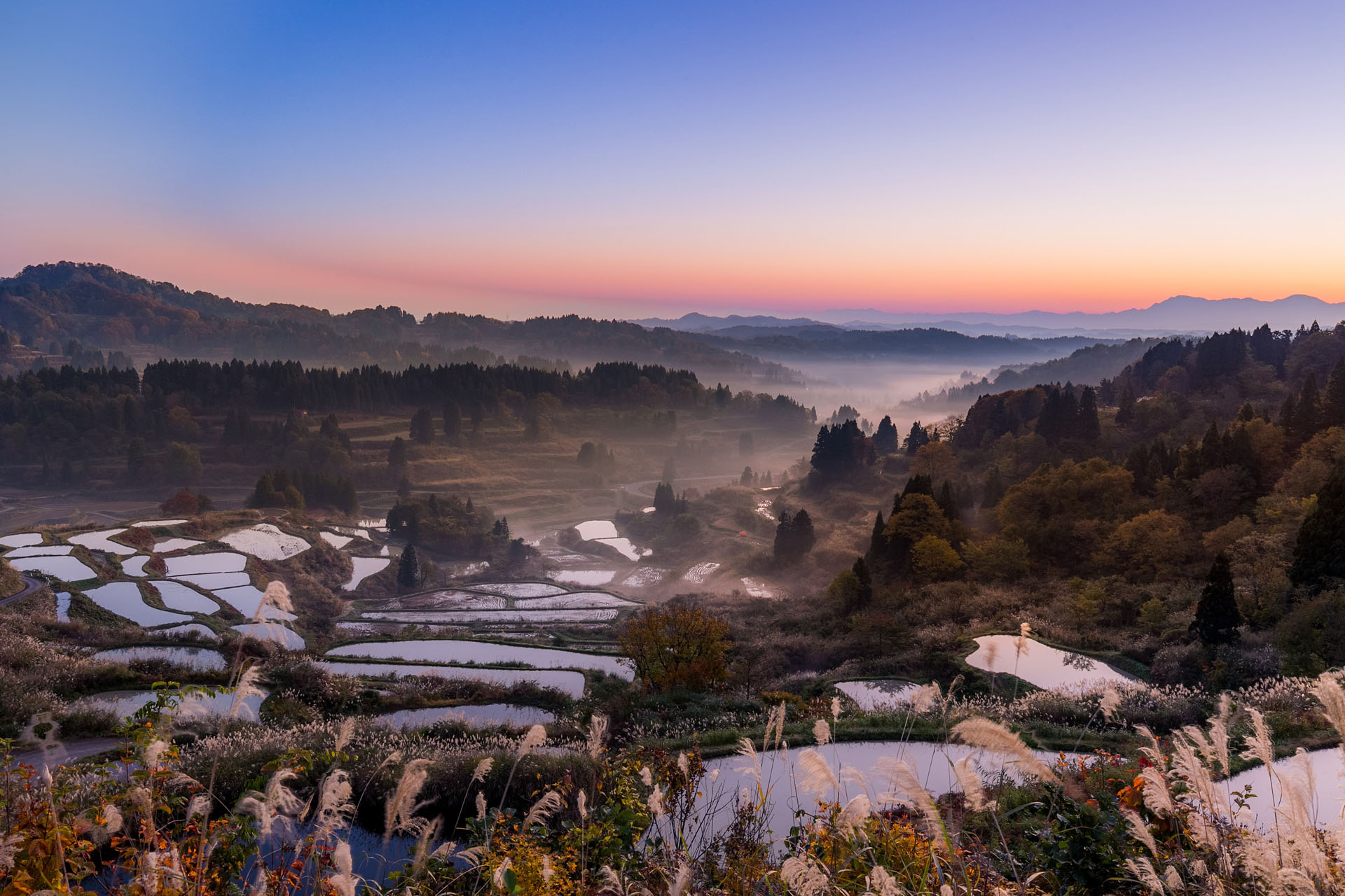 十日町すこやかファクトリー