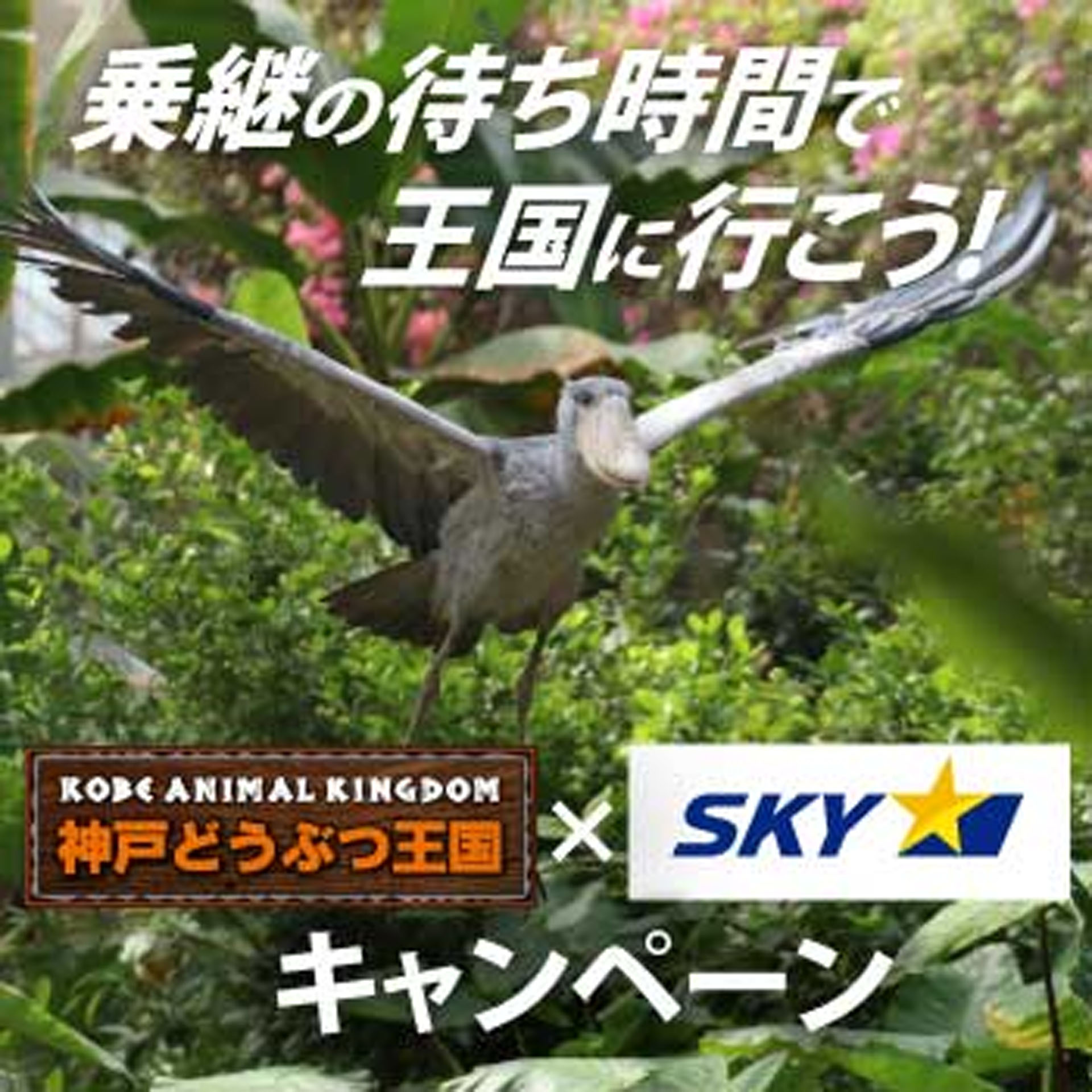 スカイマークは「乗り継ぎの待ち時間で神戸どうぶつ公園に行こう！ キャンペーン」を実施する