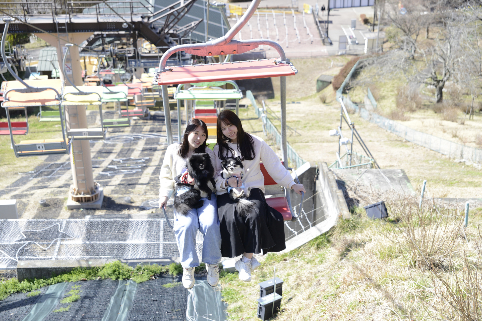 全長約250mの「ペアリフト」（往復600円/片道300円）