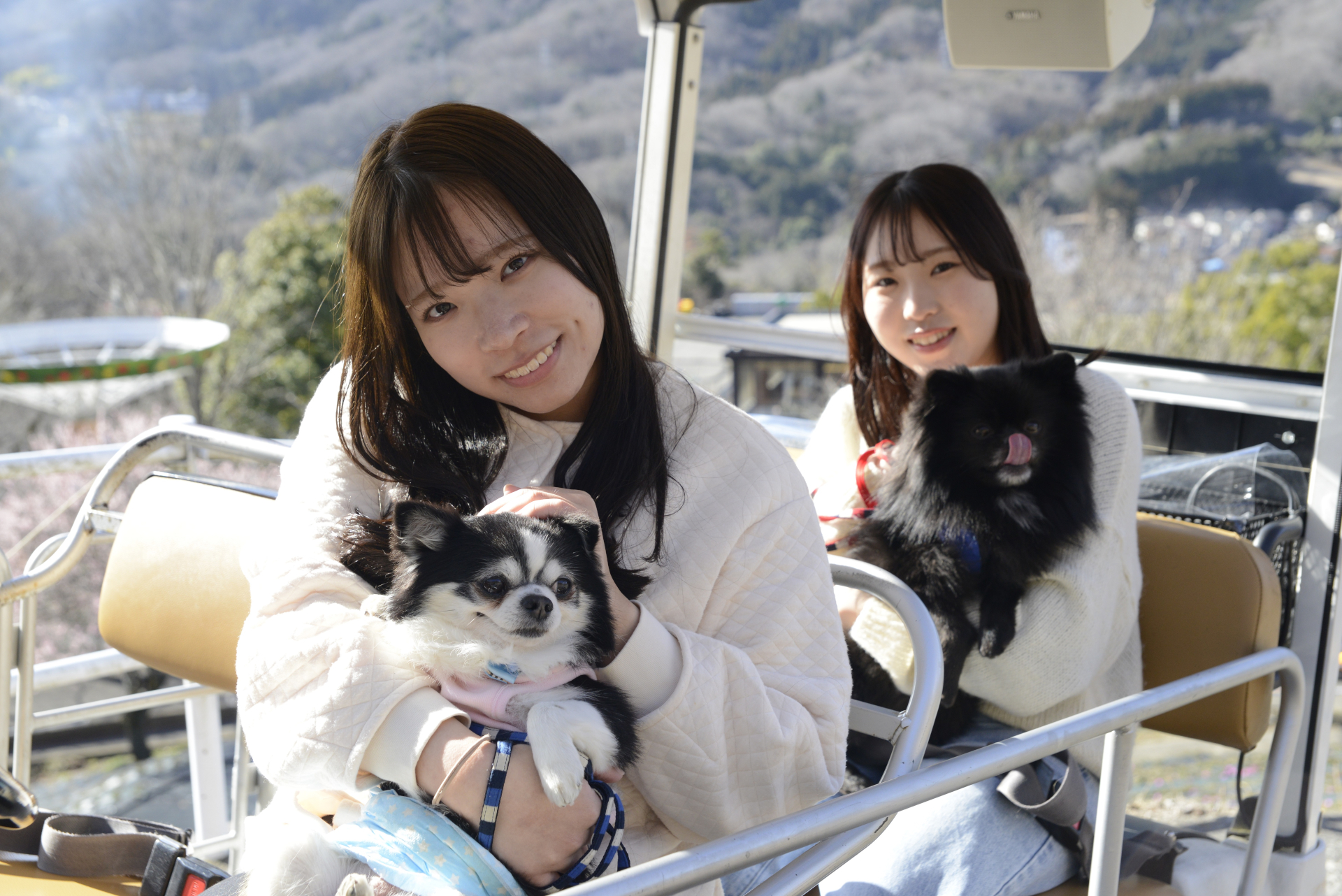 全自動型の4人乗りカート「バンピーカート」（300円）