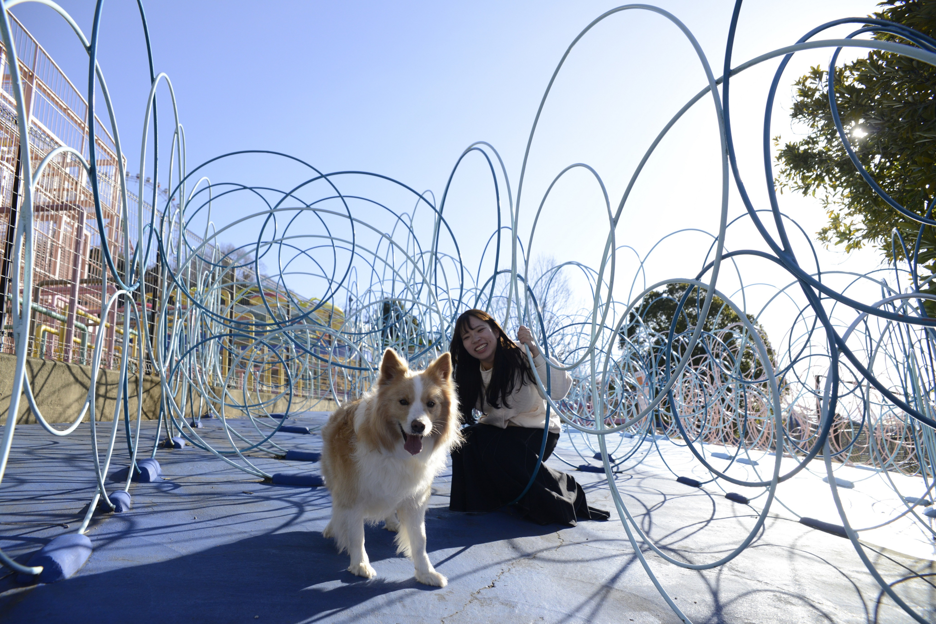 29種類のアスレチックが集まった「ピカソのタマゴ」（無料）