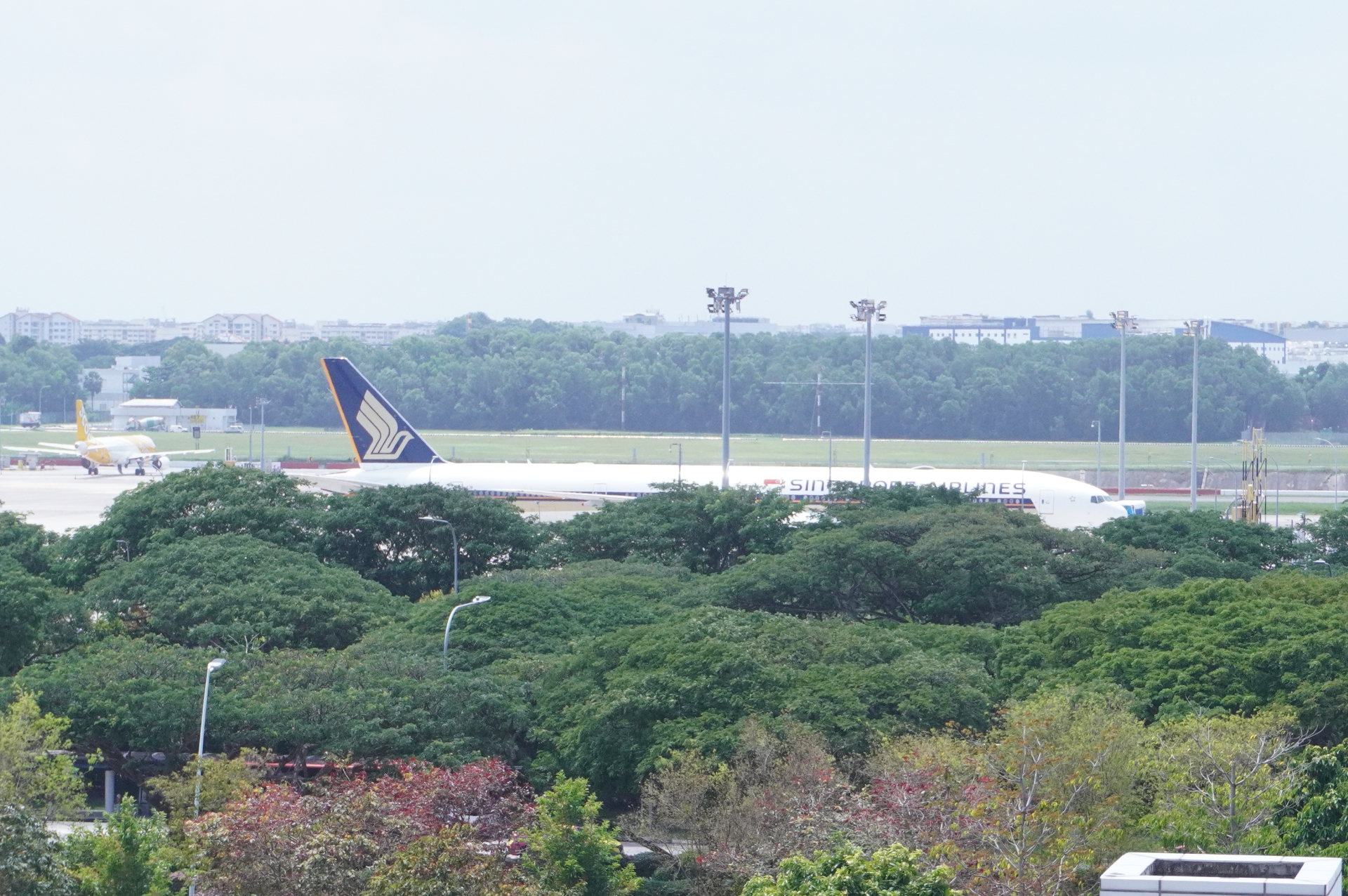 チャンギ国際空港に駐機するシンガポール航空の飛行機