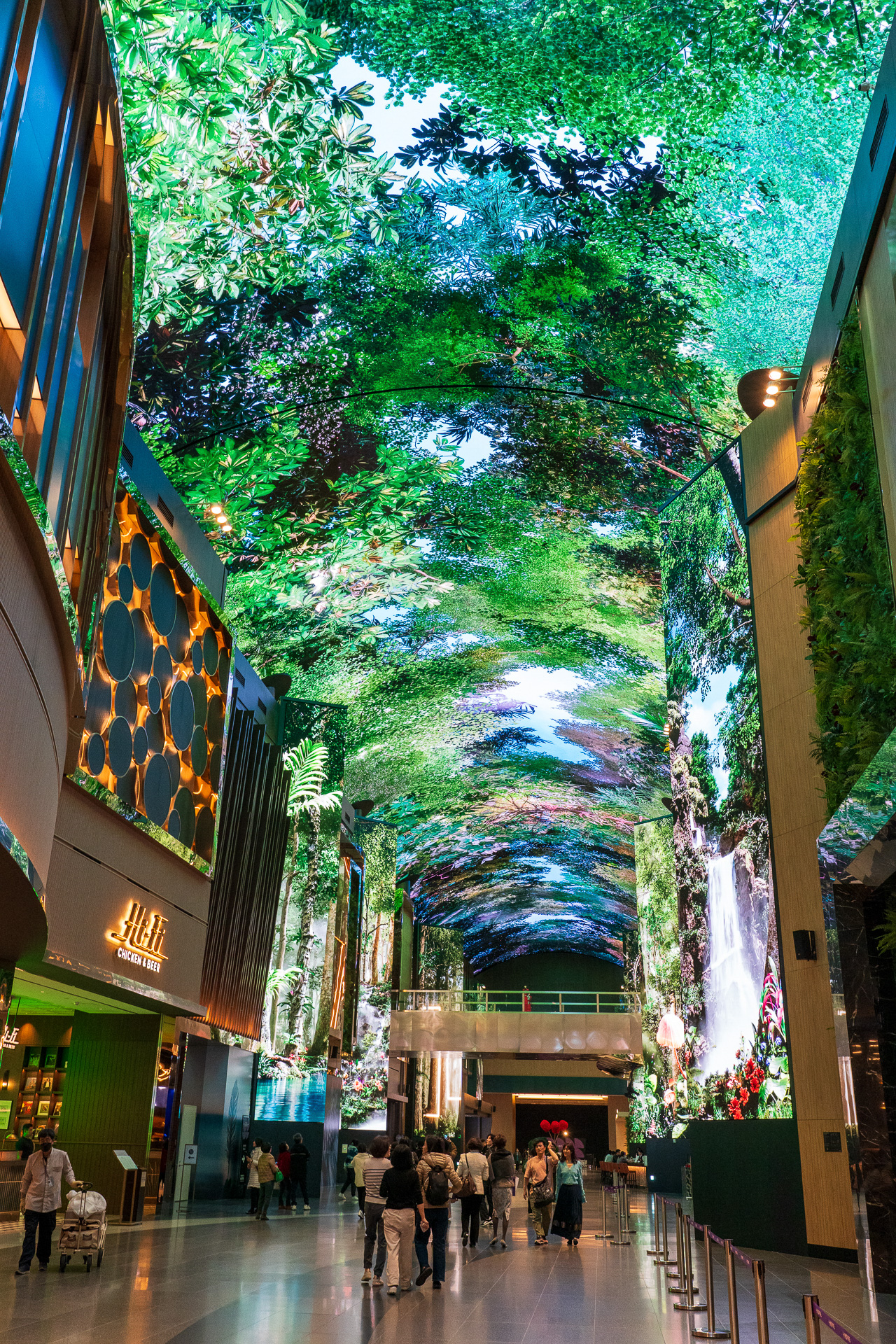 神秘的な森や空の映像が常に映し出されていて観ていて飽きません