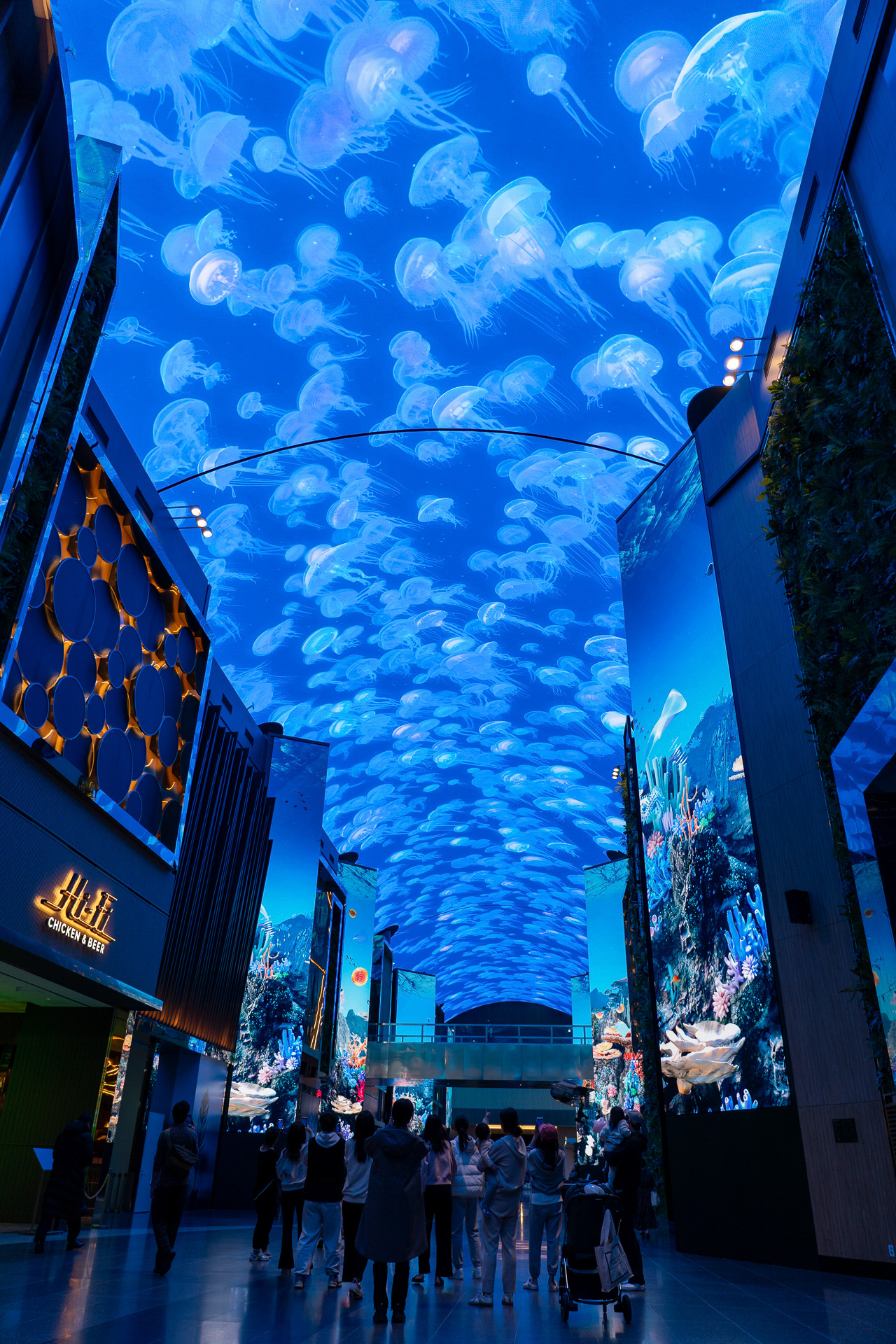 クラゲが優雅に泳ぎ、続いてトップ画像のシャチが登場