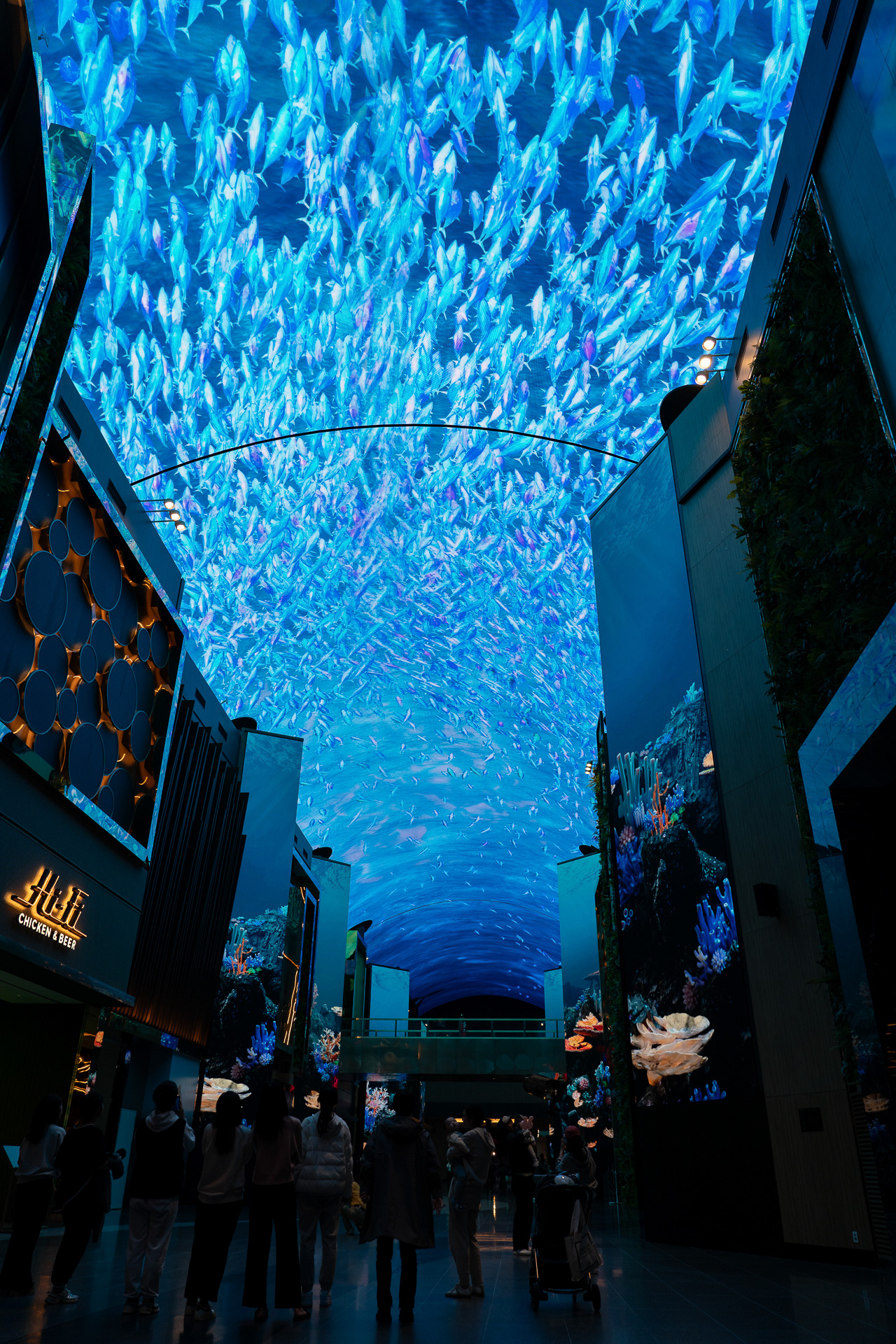 続いて魚の大群に包まれます