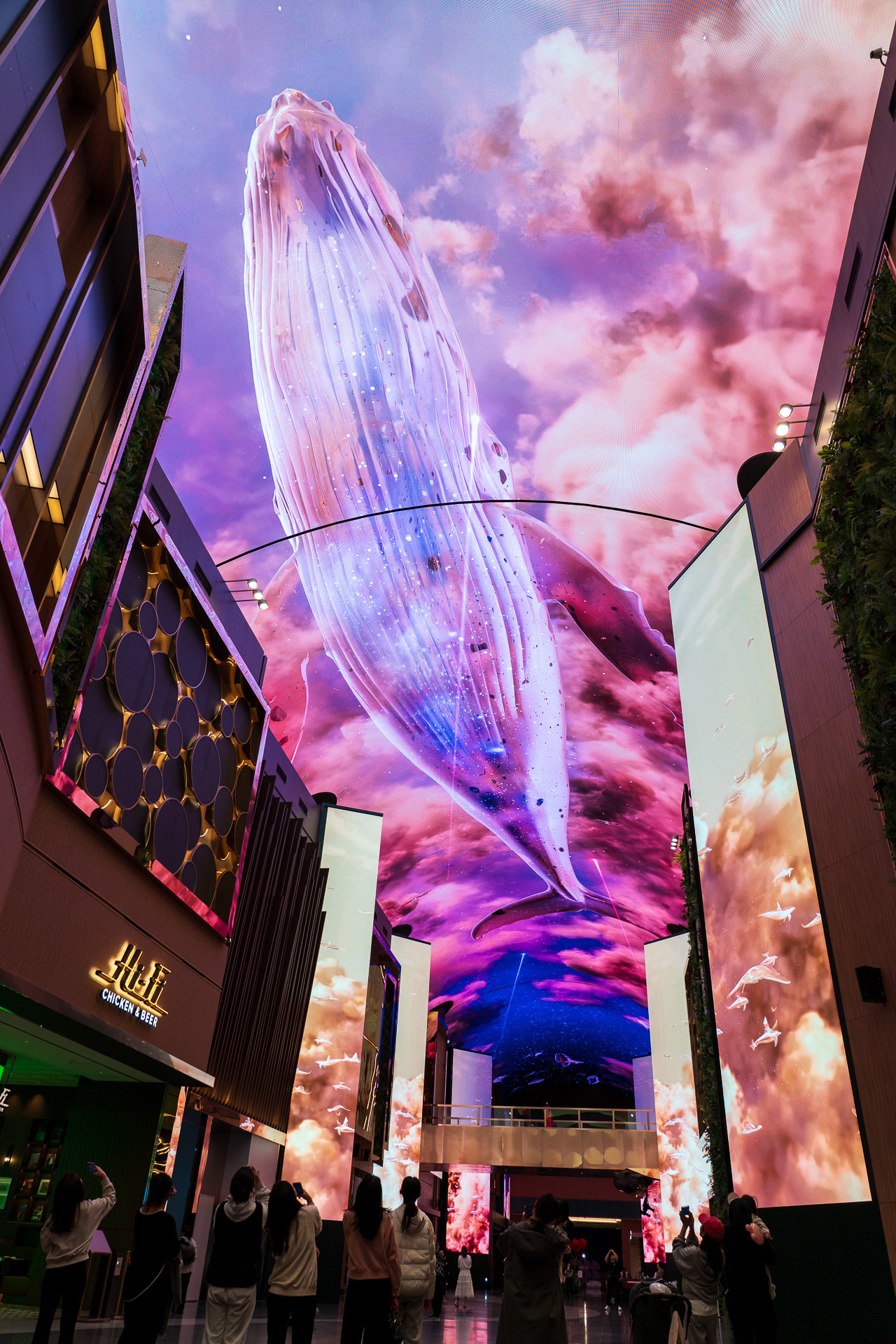 頭上を優雅に泳ぐシロナガスクジラの姿が