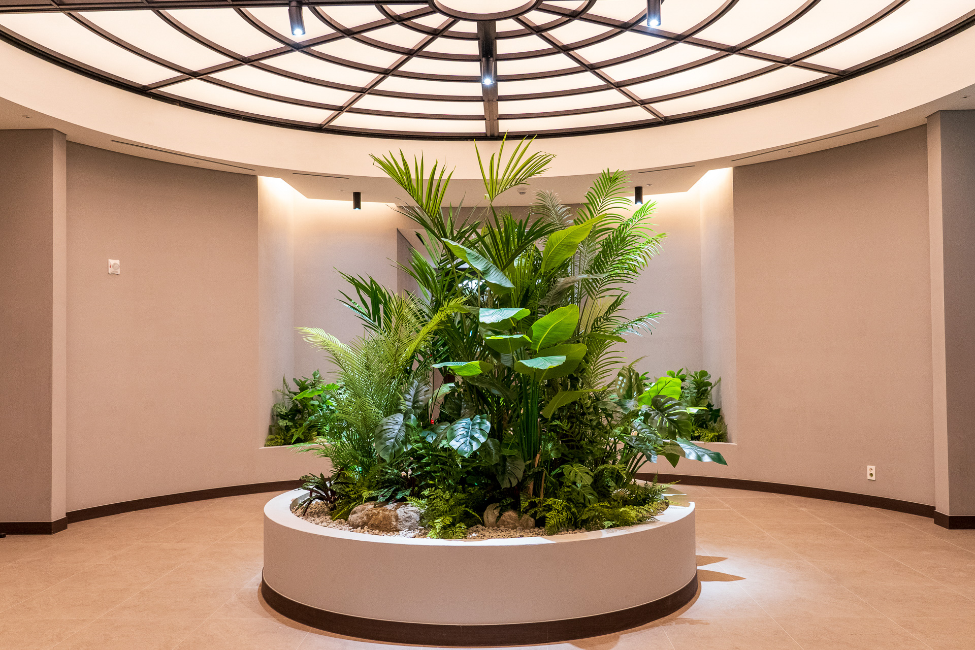 韓国で美と健康を