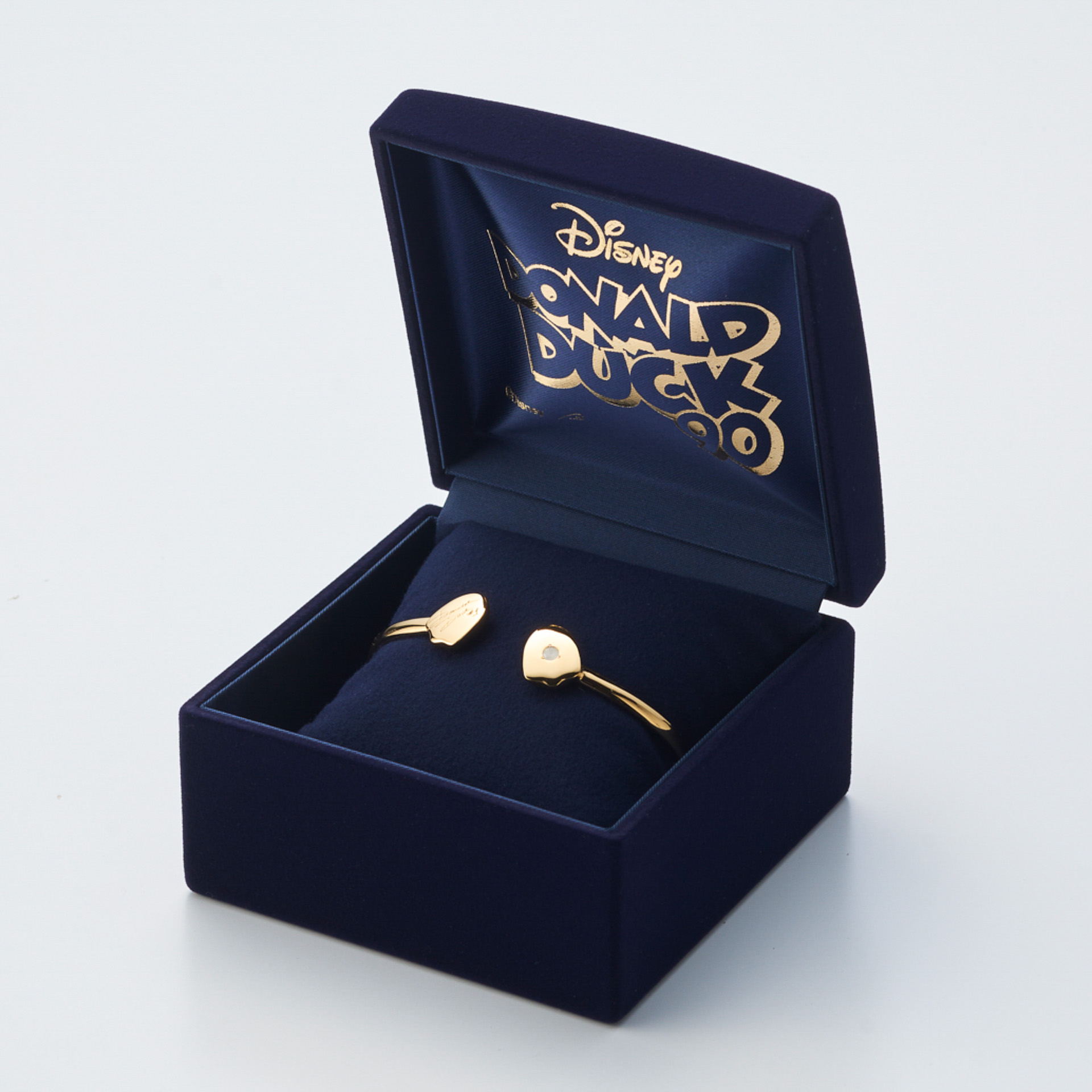 保管用のケース入り