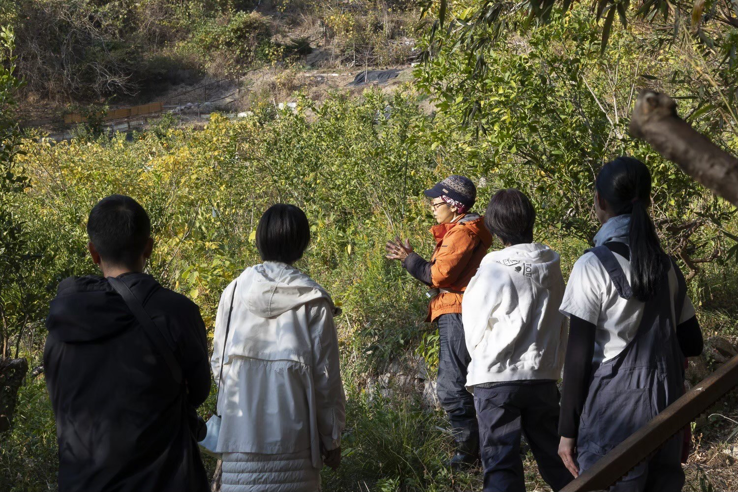 自然農法を学びながらレモンの収穫体験