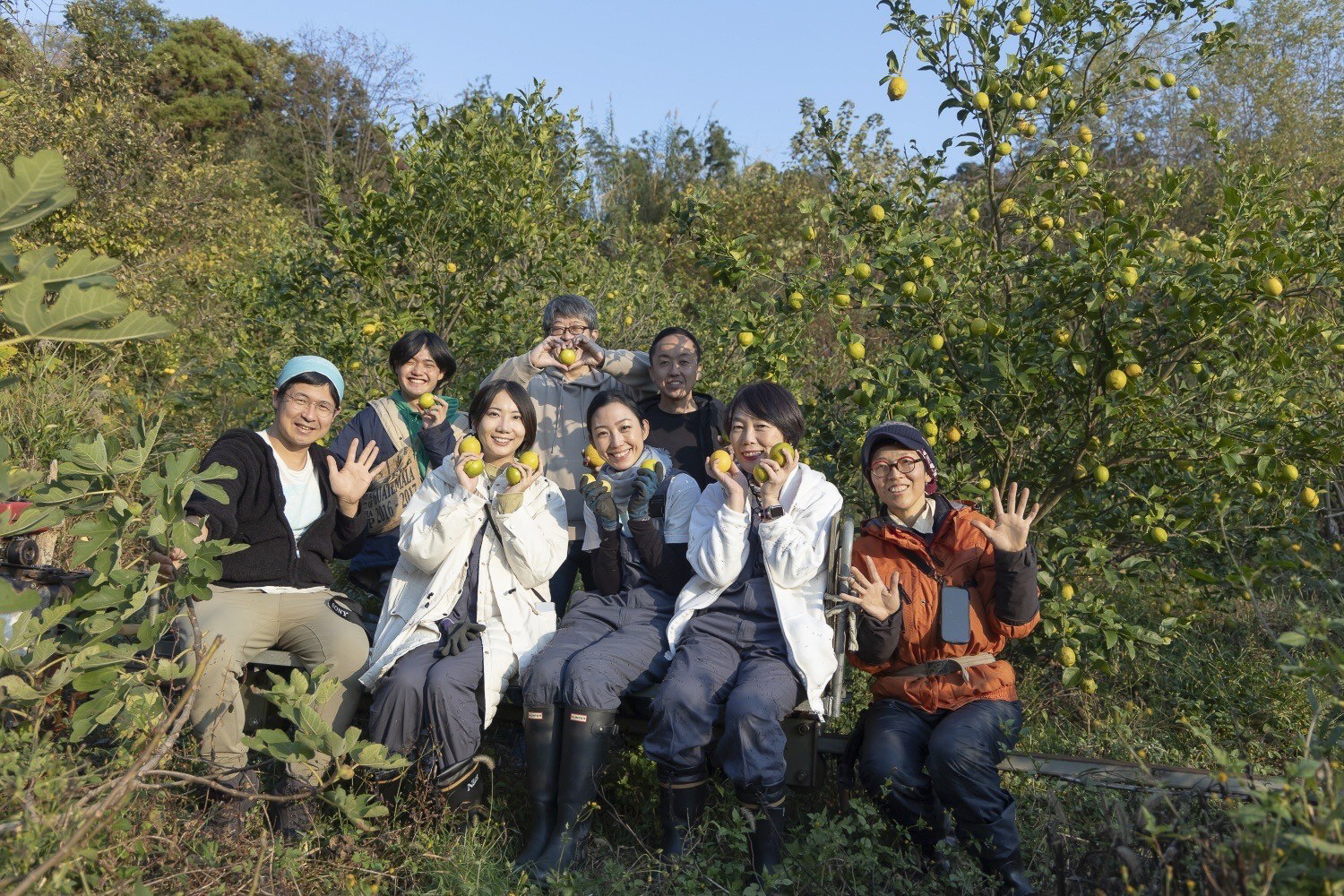 自然農法を学びながらレモンの収穫体験