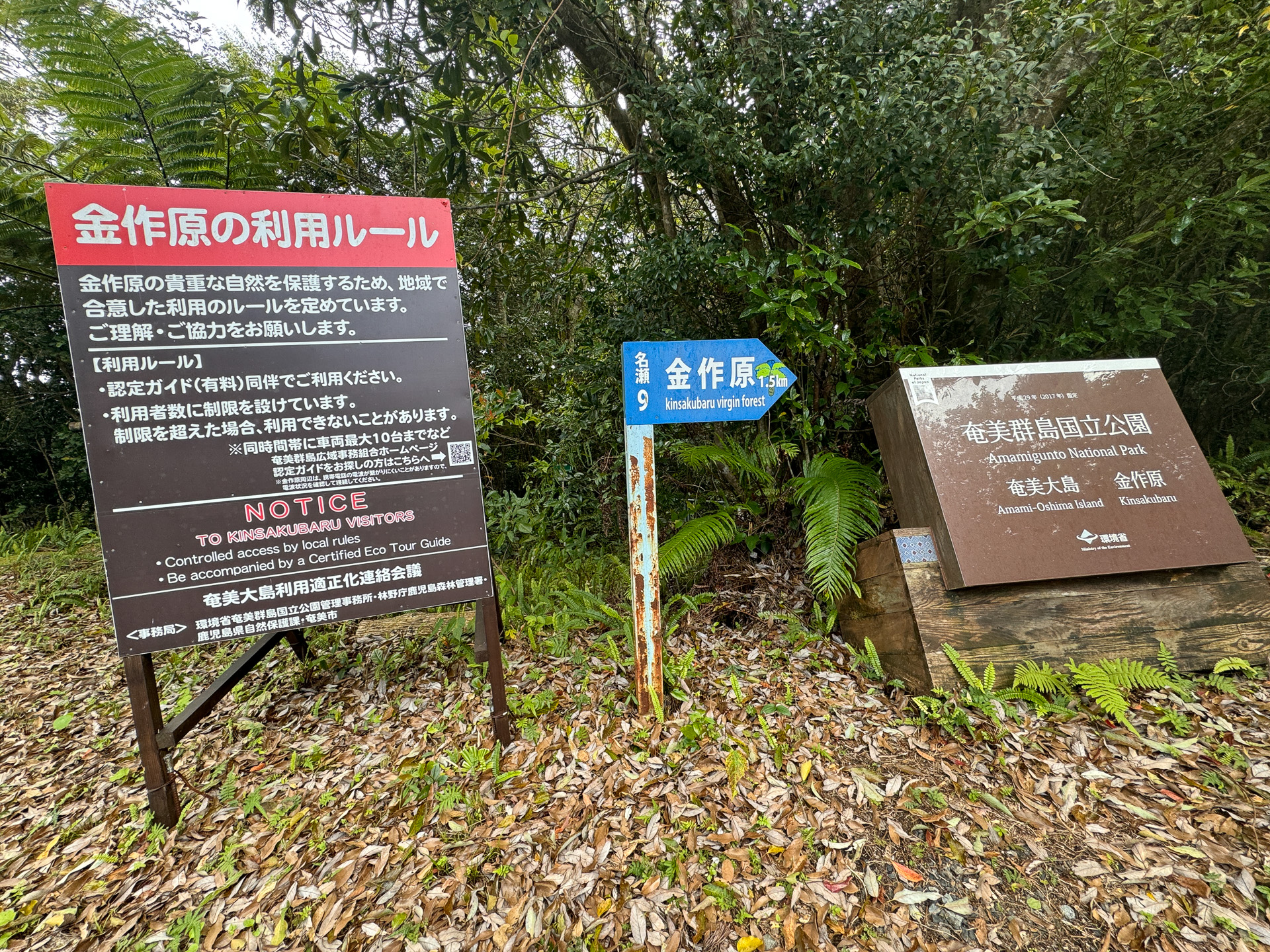 金作原（きんさくばる）