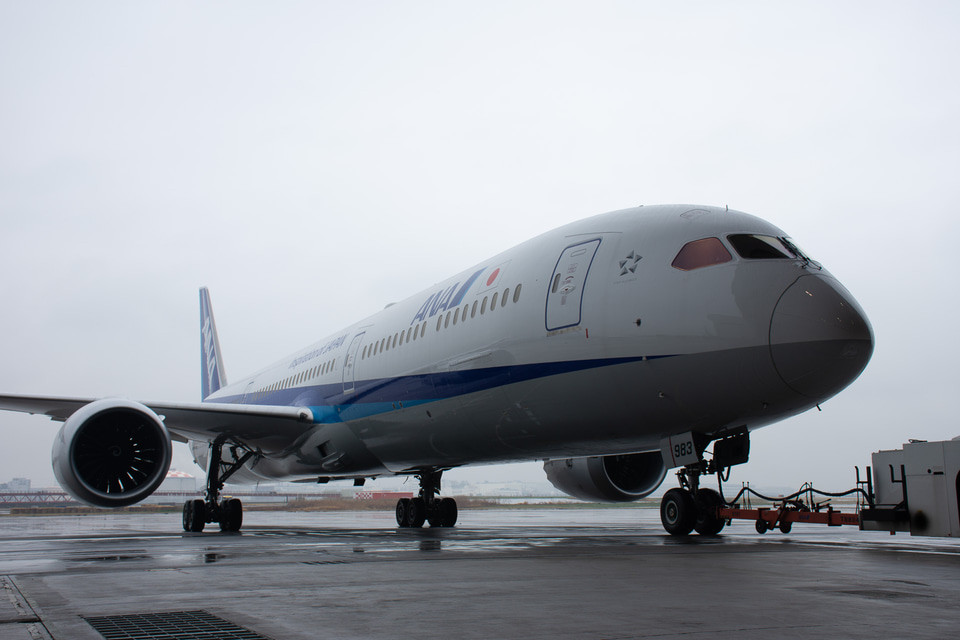 はなをさん専用 ANA Boeing 787-10 ANAの787-10、19年3月納入へ 国内線に