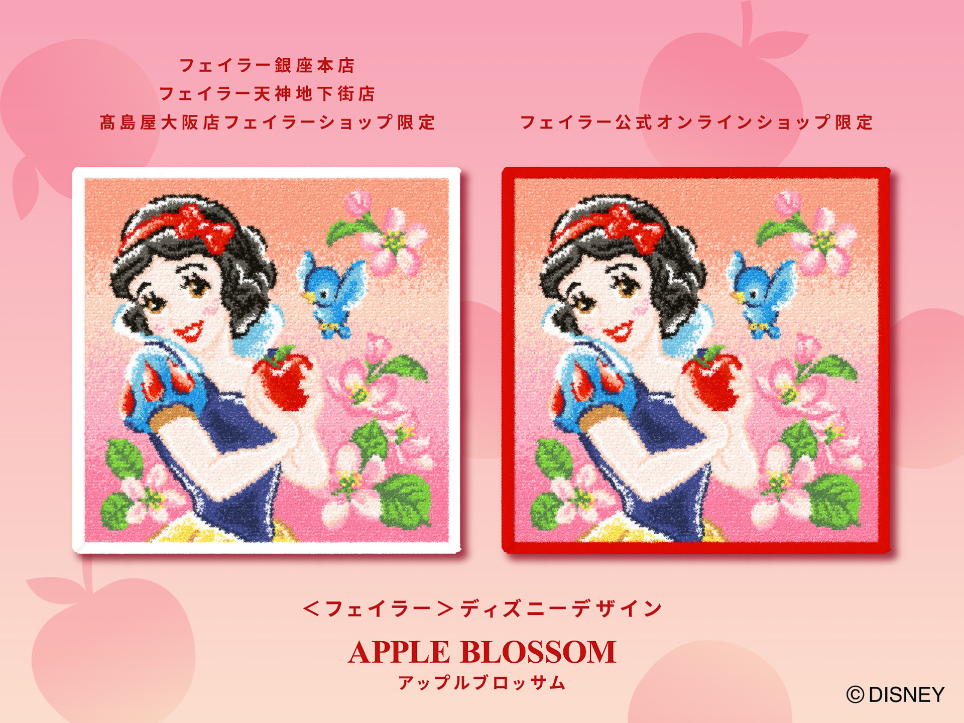 縁取り違いの2タイプを発売