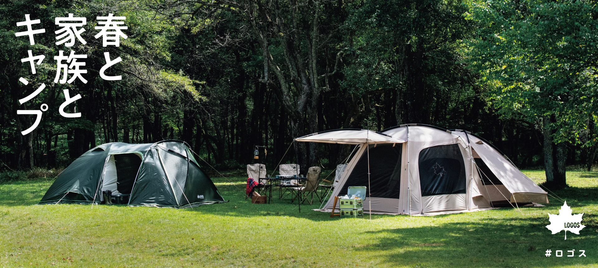 ロゴスは特集企画「春と家族とキャンプ」を公式サイトで公開した