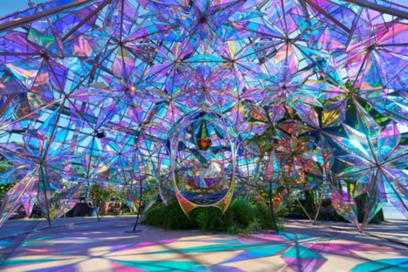 光とバラのインスタレーション