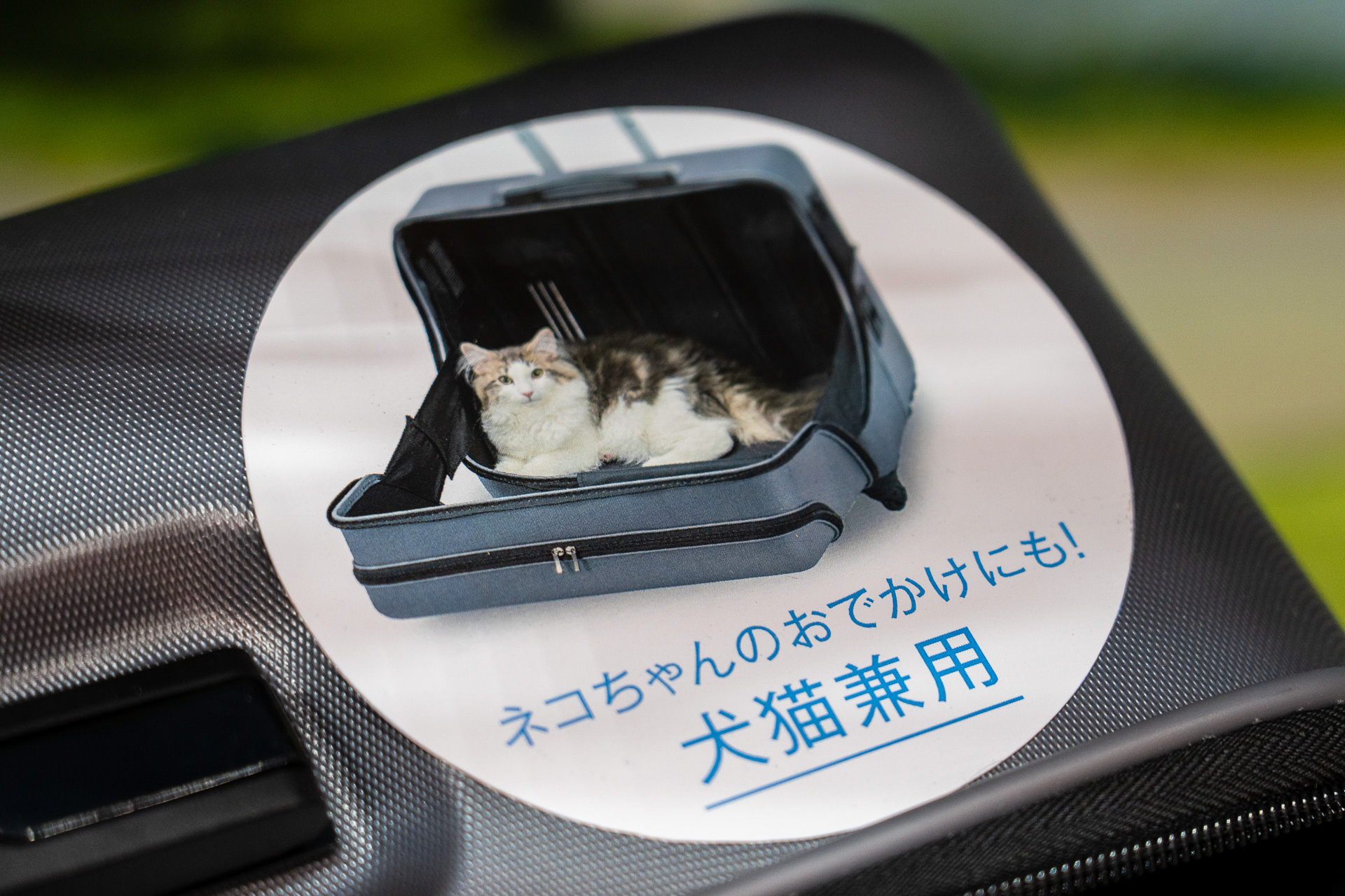ネコちゃんのおでかけにもOK