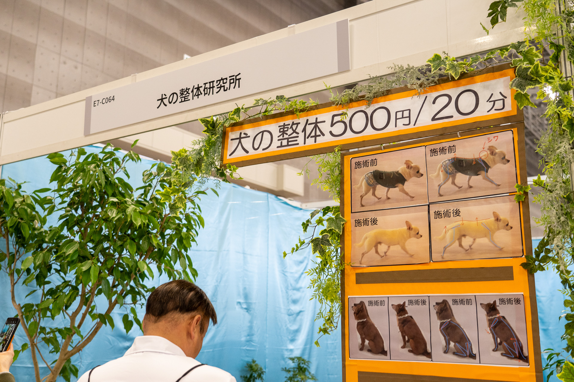 犬の整体ブースまであっていろいろびっくりなペットの祭典「インターペット」でした！