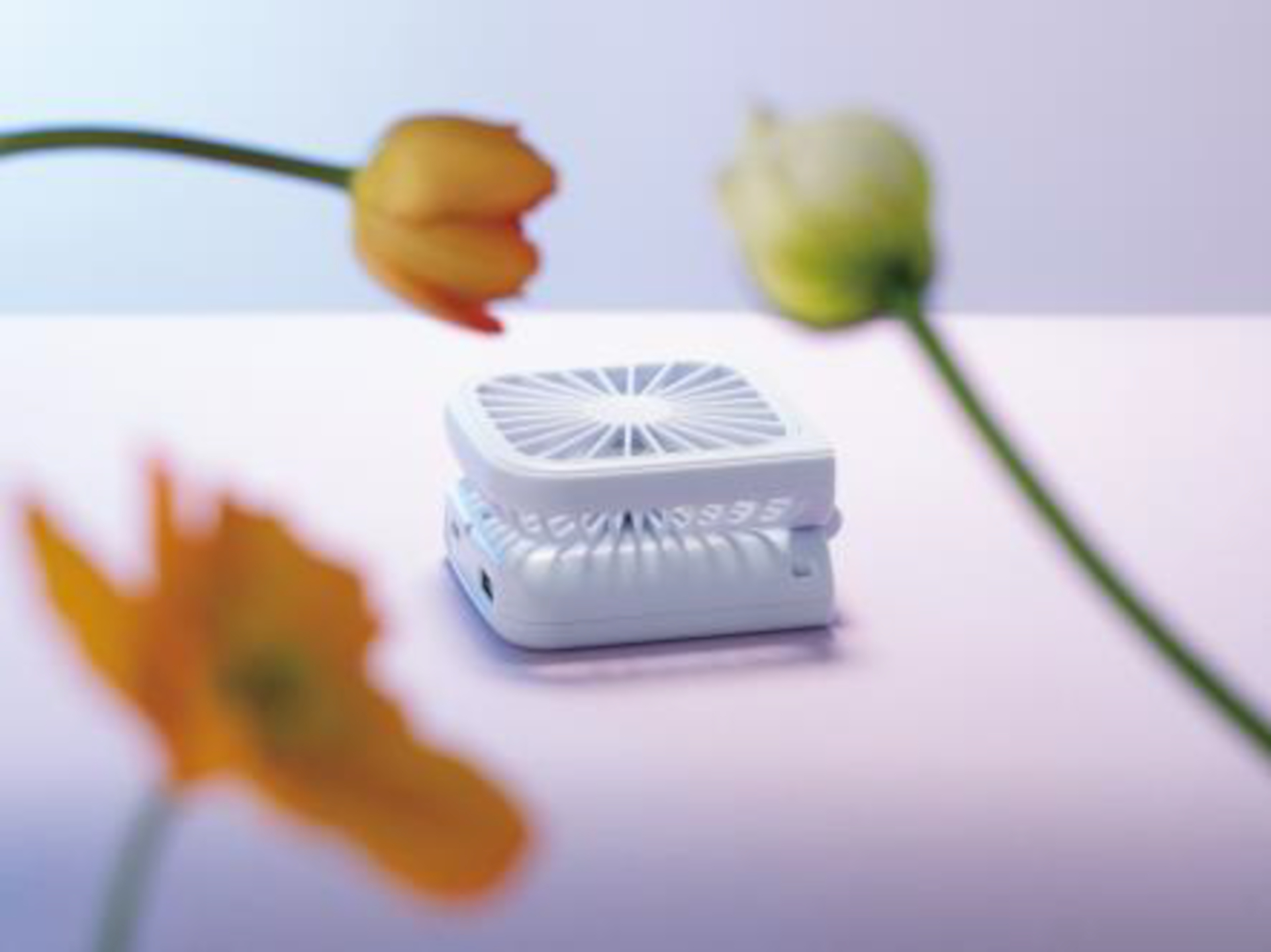 折りたたんでコンパクトに持ち運び