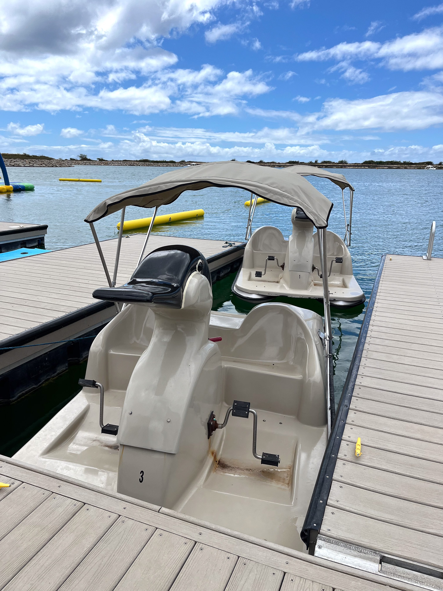 ハワイ州の鳥「ネネ」の足漕ぎボート