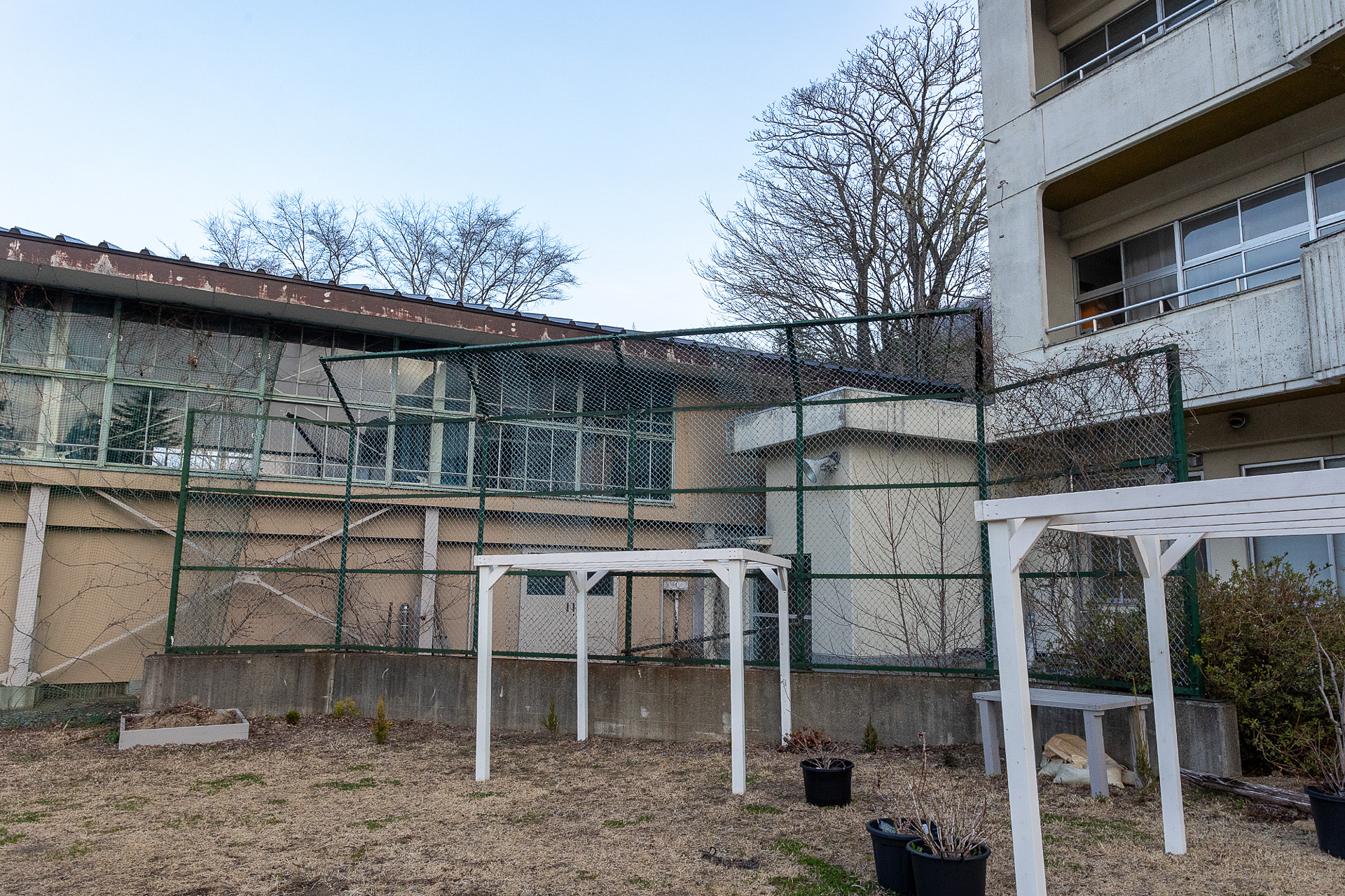 野球のバックネットあと。大勢の小学生がここで遊んだのだろう